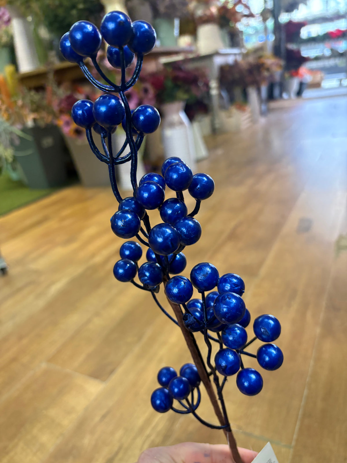 Long stem electric blue berry stem