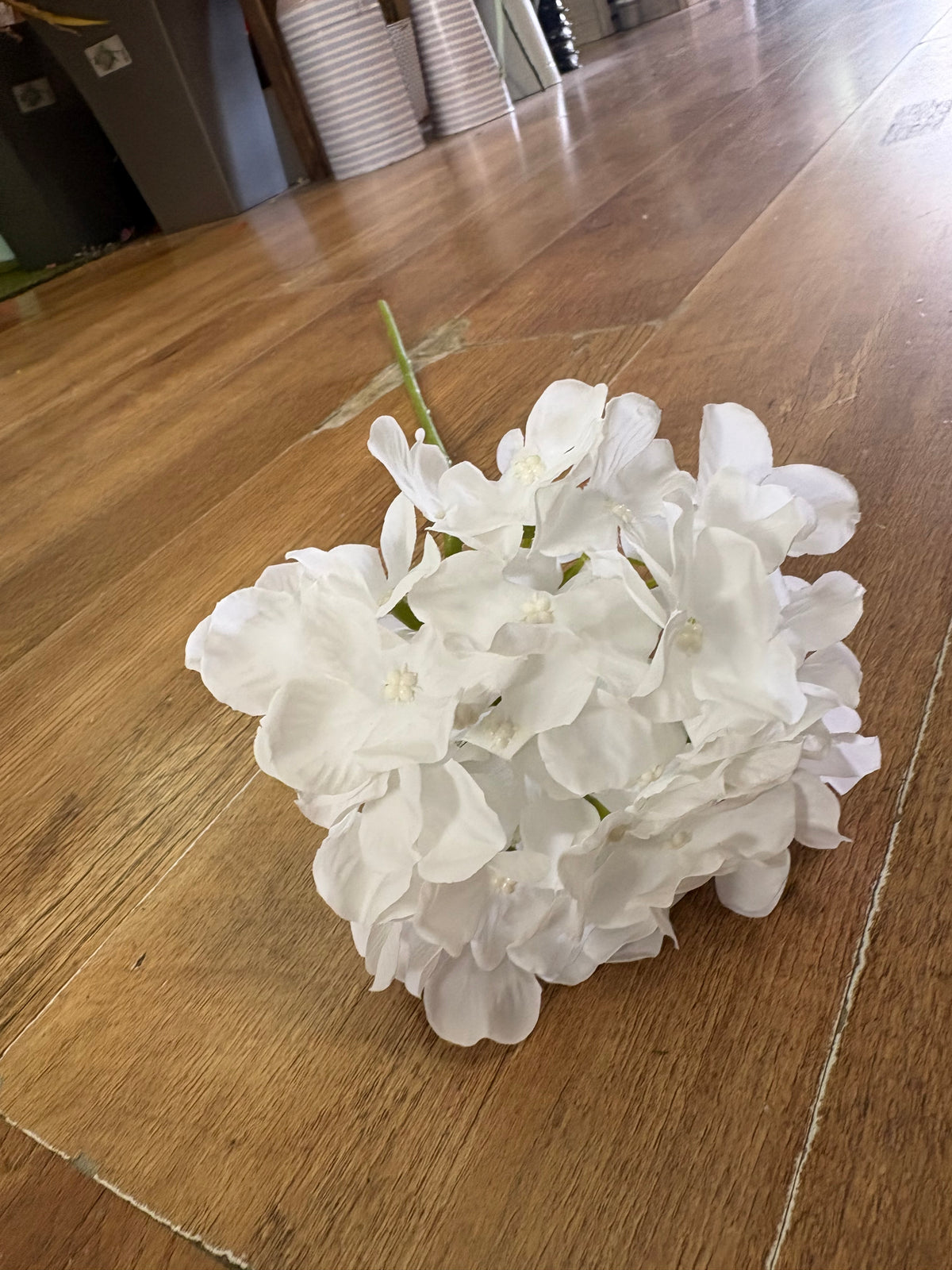 Long stem white single hydrangea