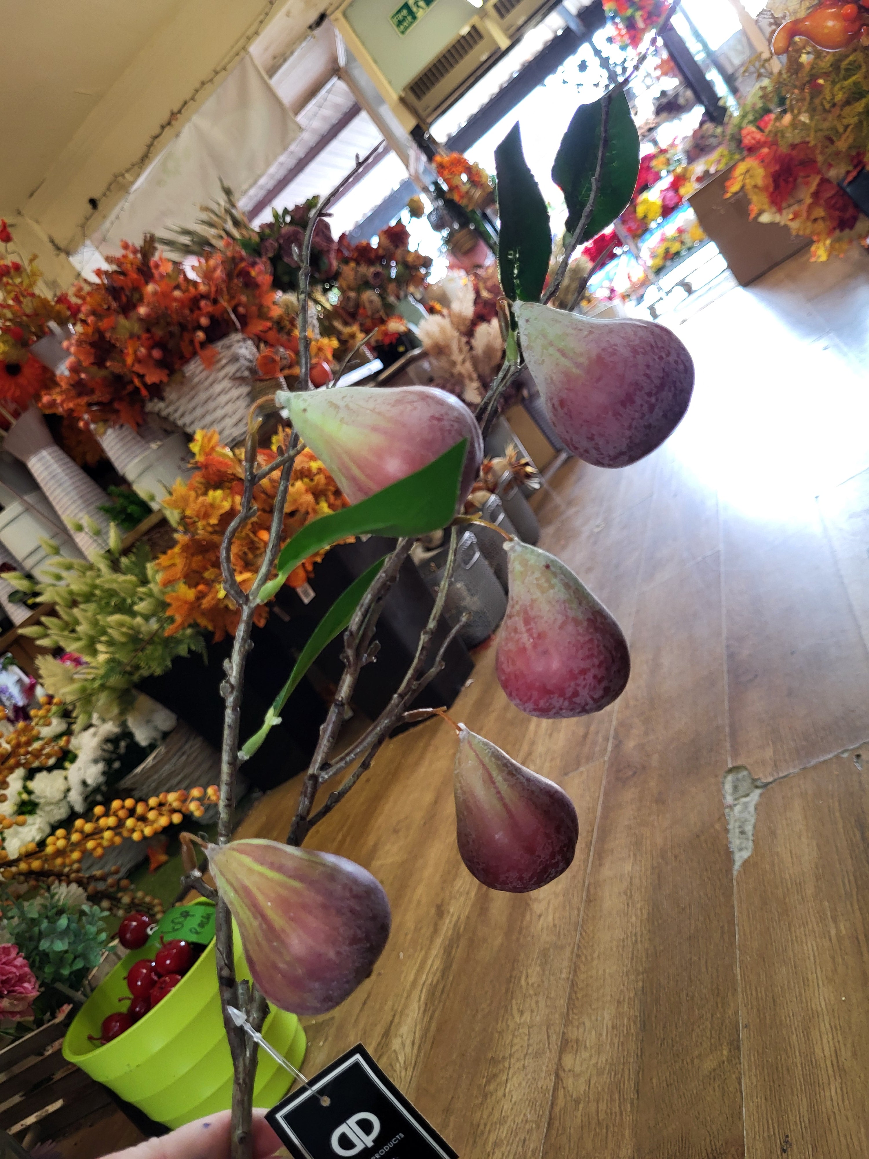 78cm tall Fig branch image 0