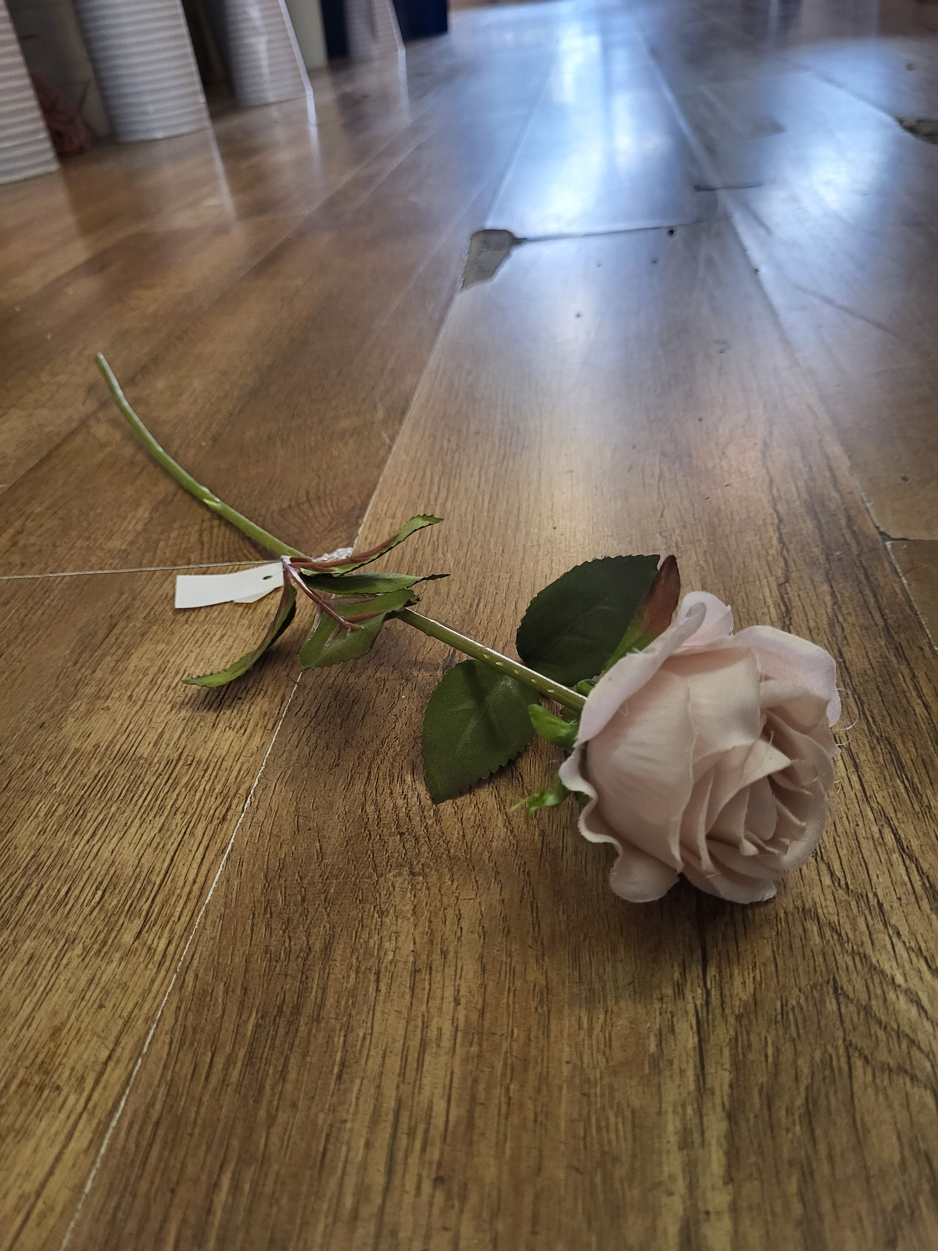 Nude Amira Rose stem image 2