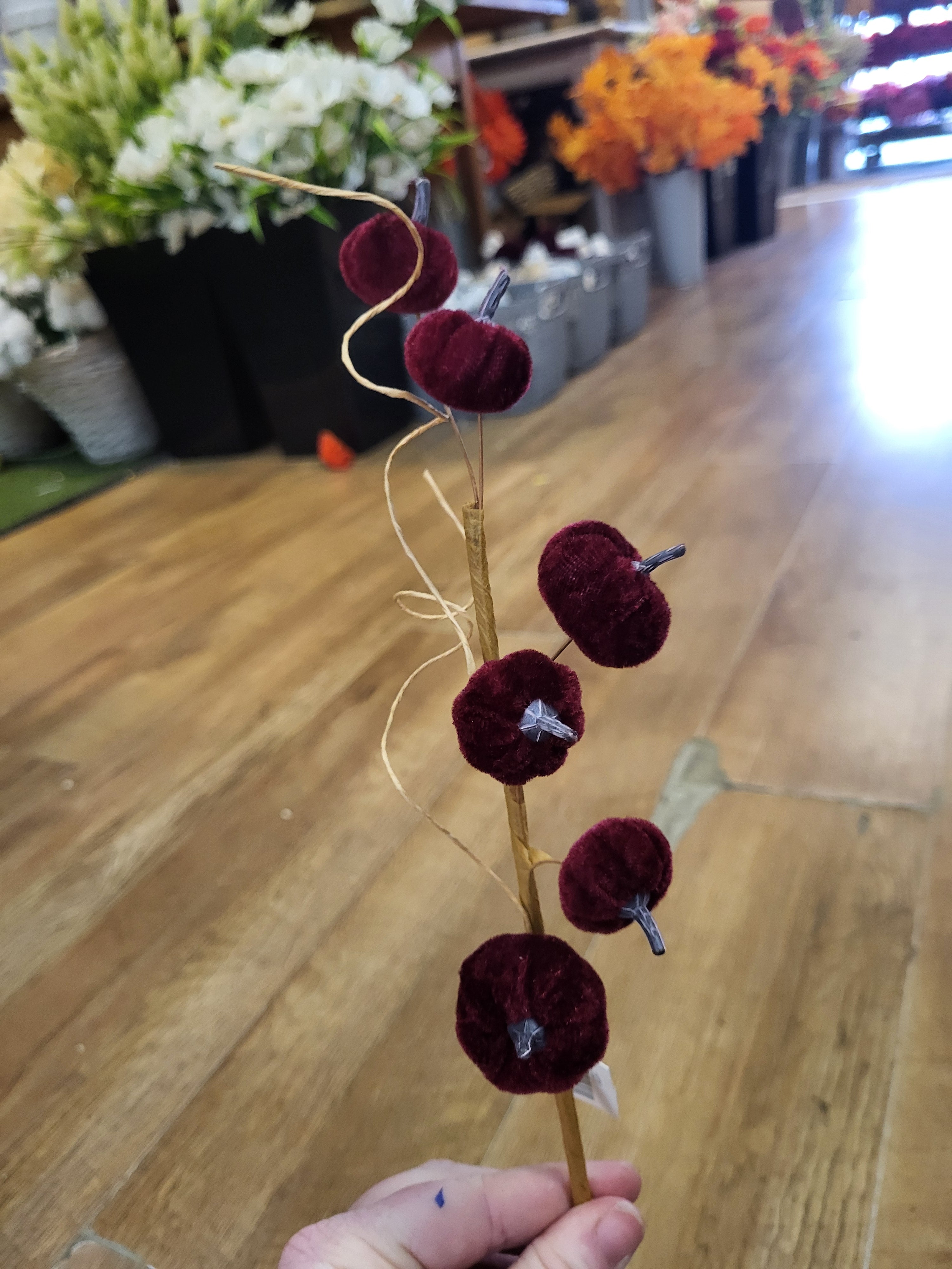 Burgundy velvet miniature pumpkin stem  image 0