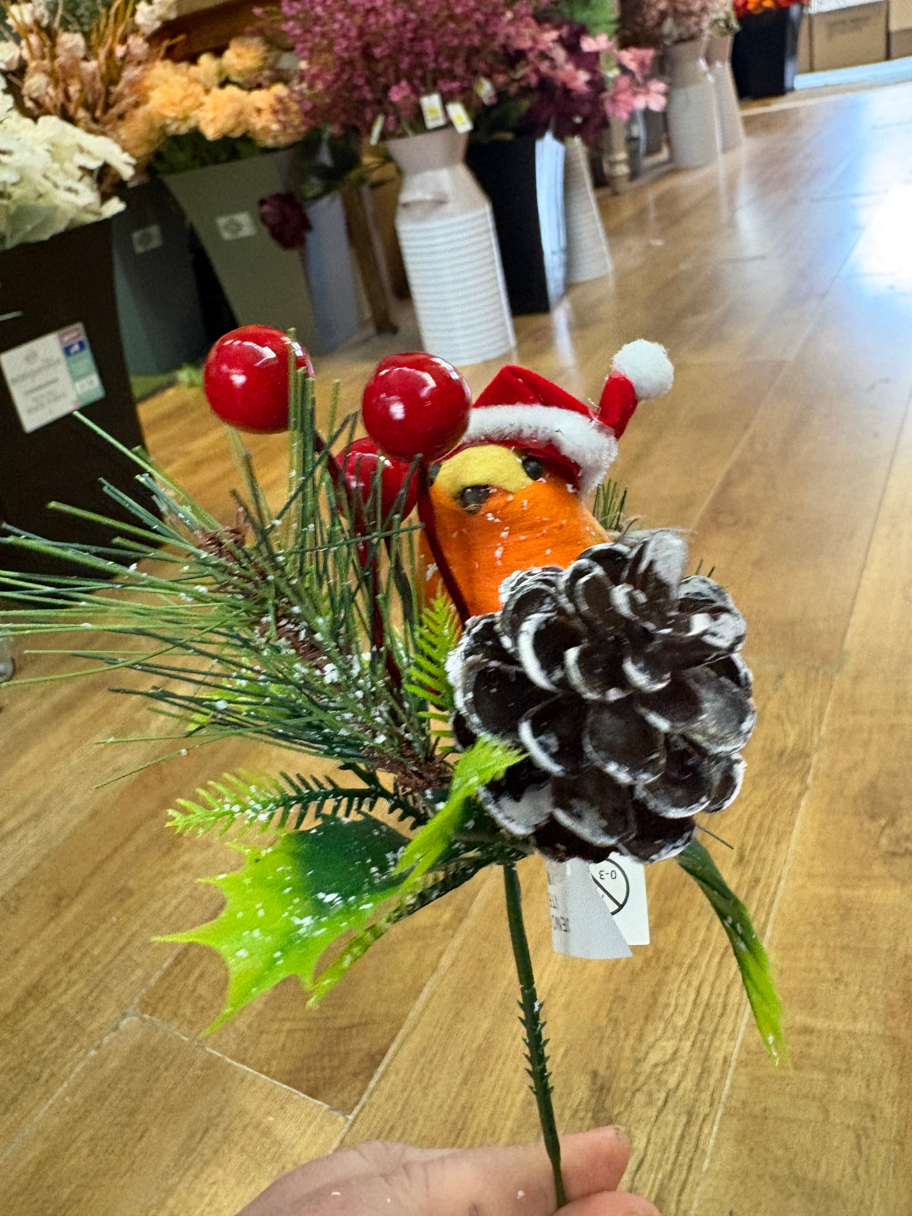 Robin in a Santa hat pick