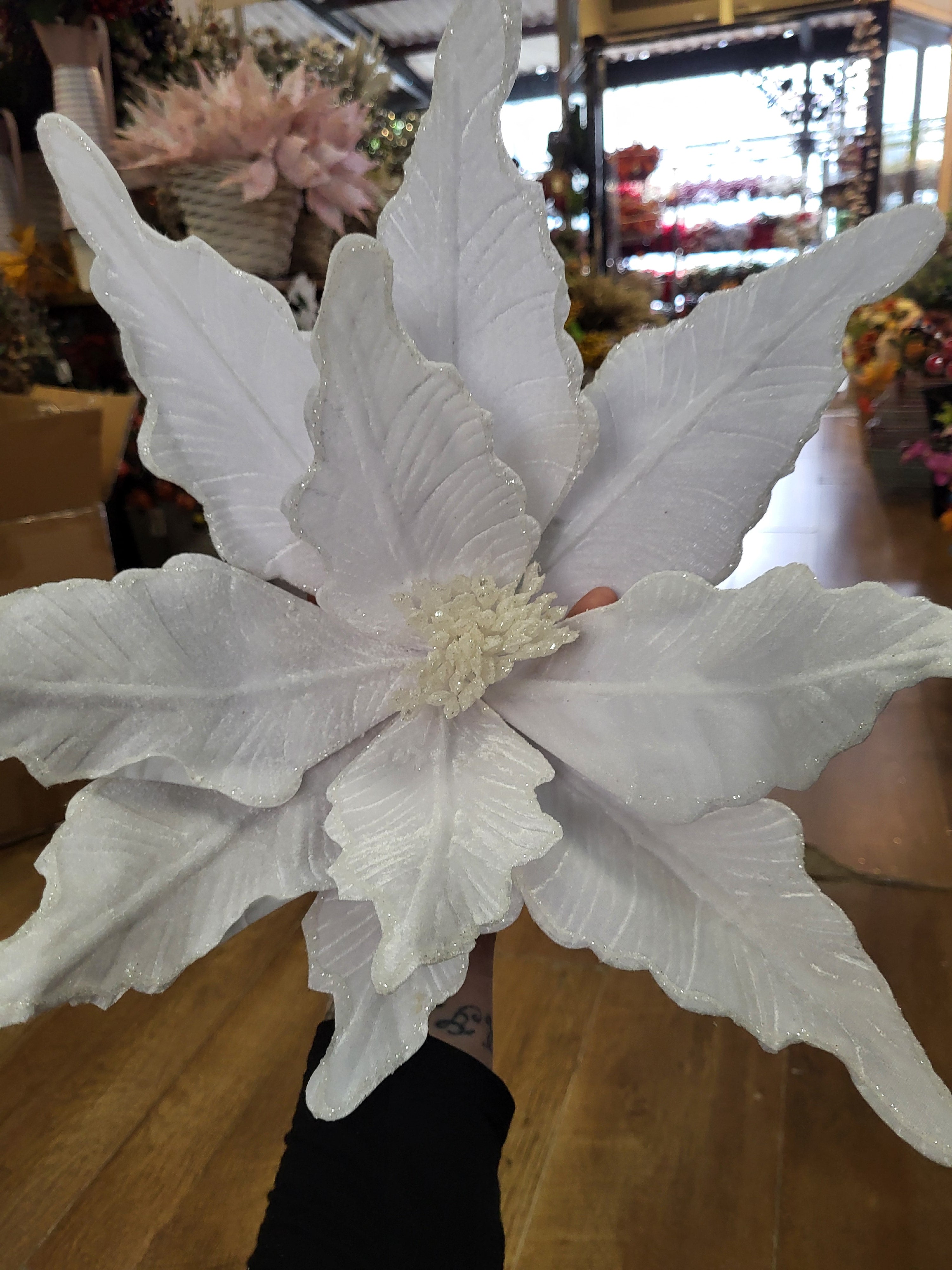Luxury 50cm white velvet with glittered edge giant single poinsettia image 6