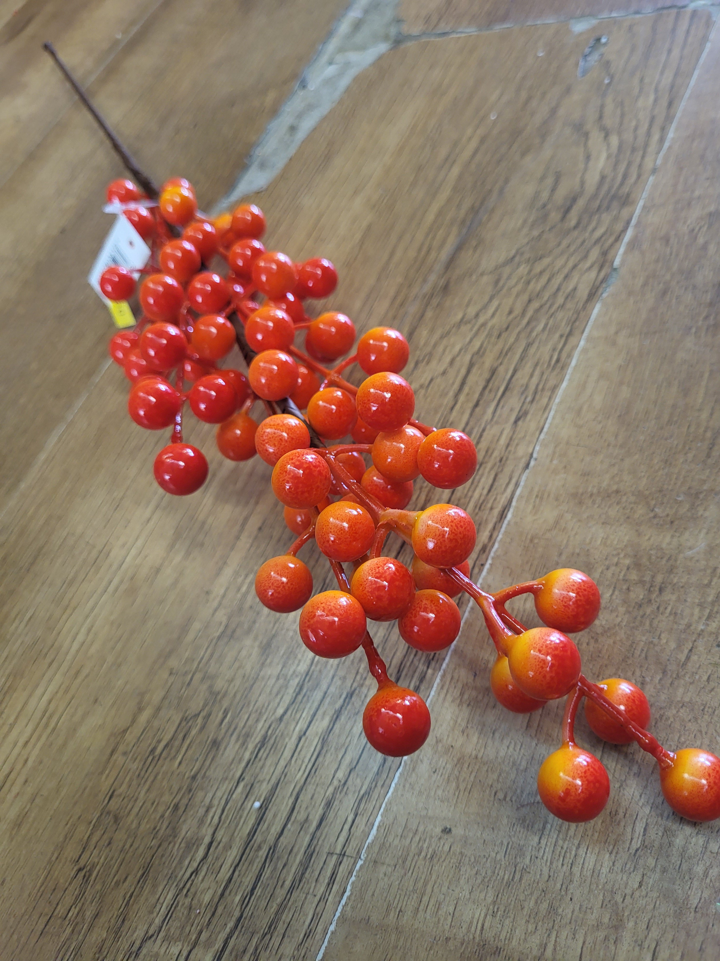 Long stem Orange berry stem image 0