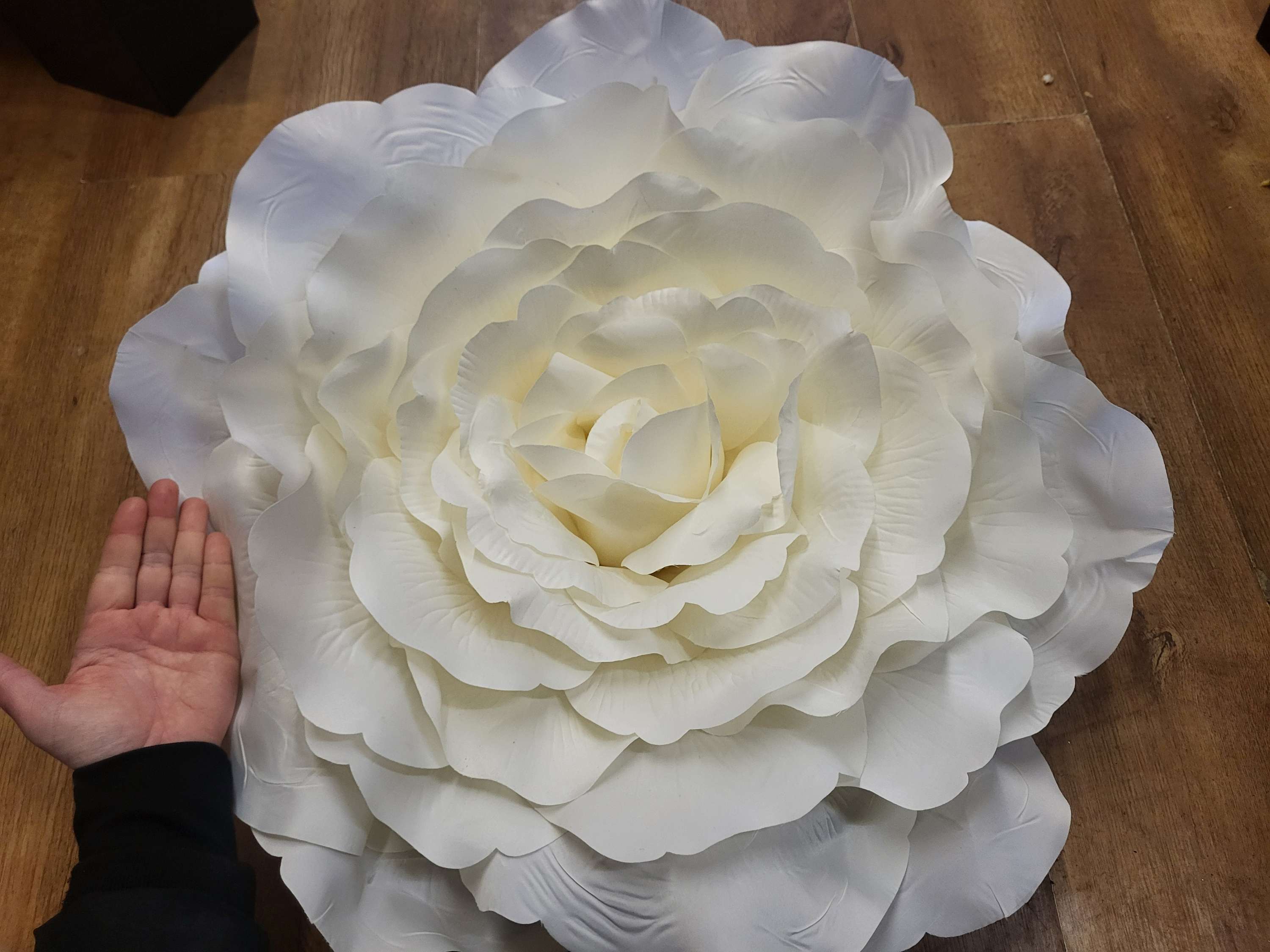 Giant 70cm diameter ivory frilly rose head image 7
