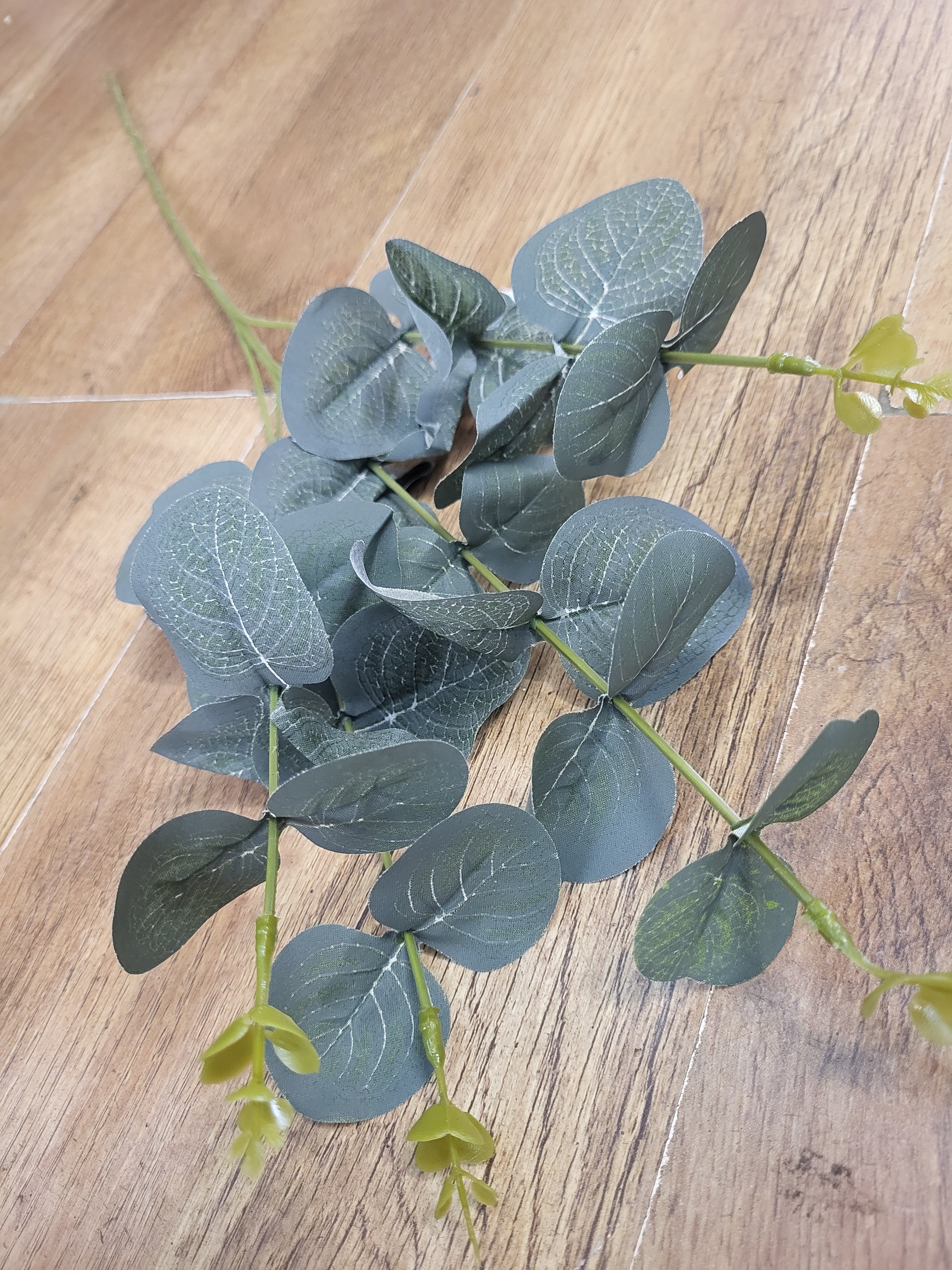 Long stem eucalyptus  - 3 shades available image 5