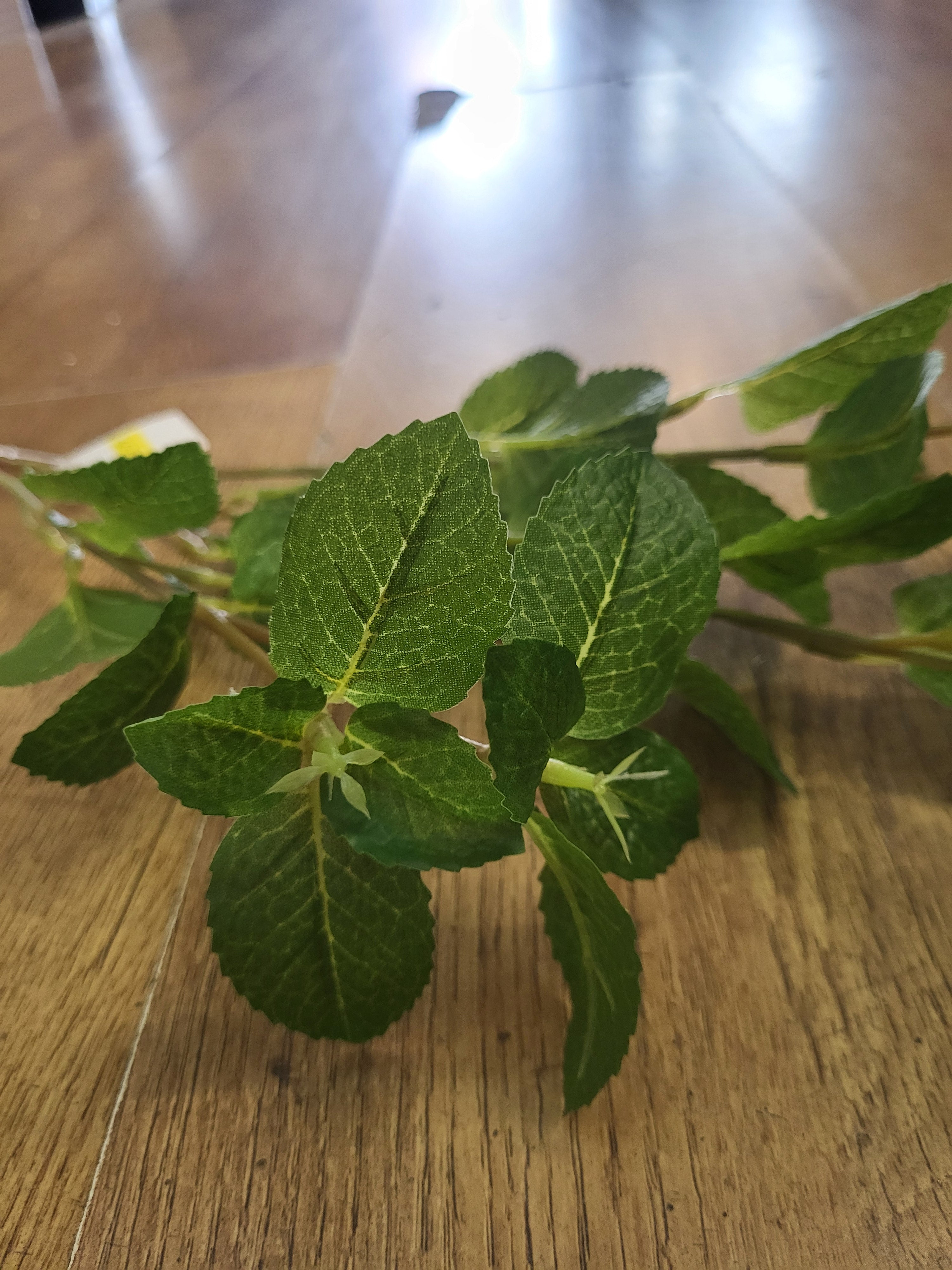 80cm tall mint leaf spray image 4