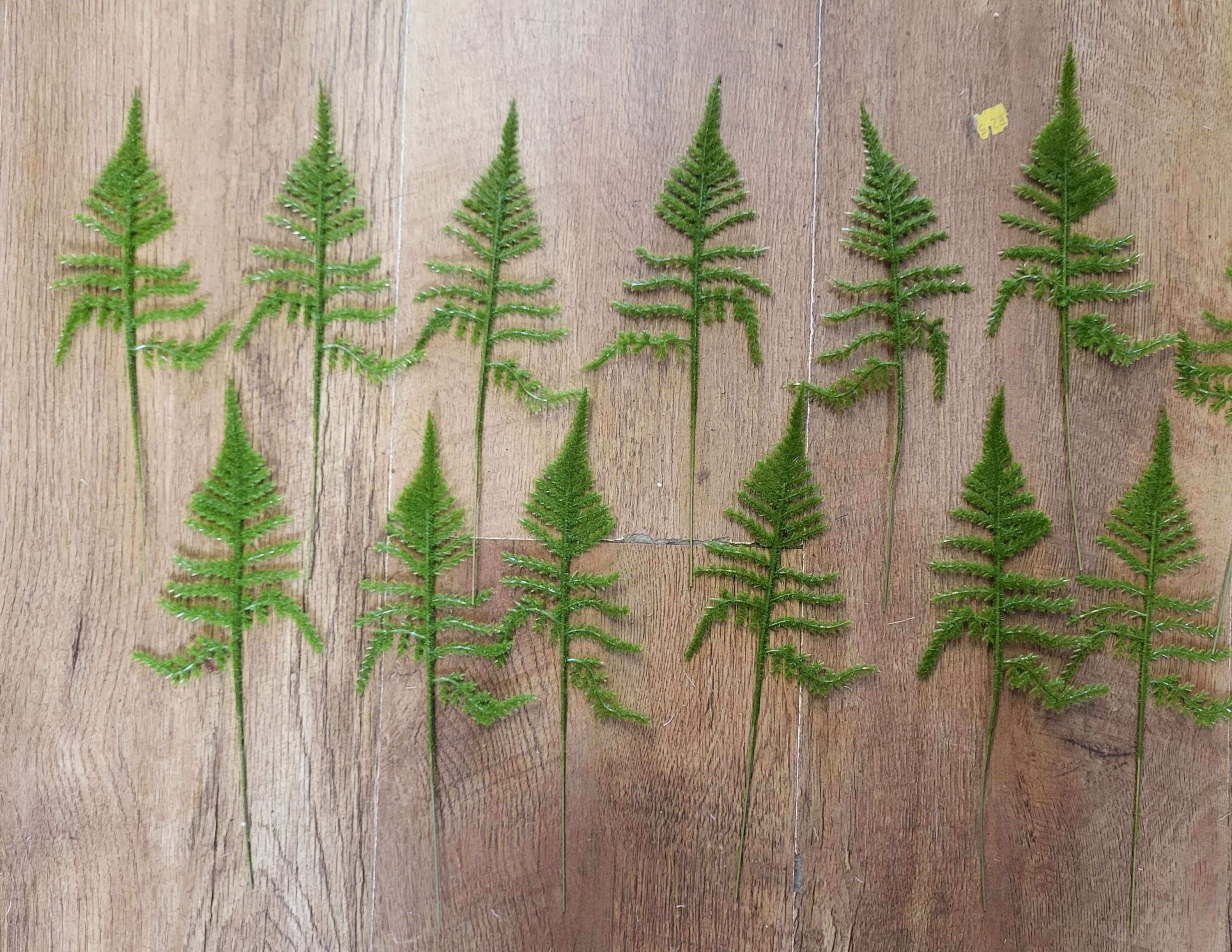 Pack of 12 small flocked fern stems image 0