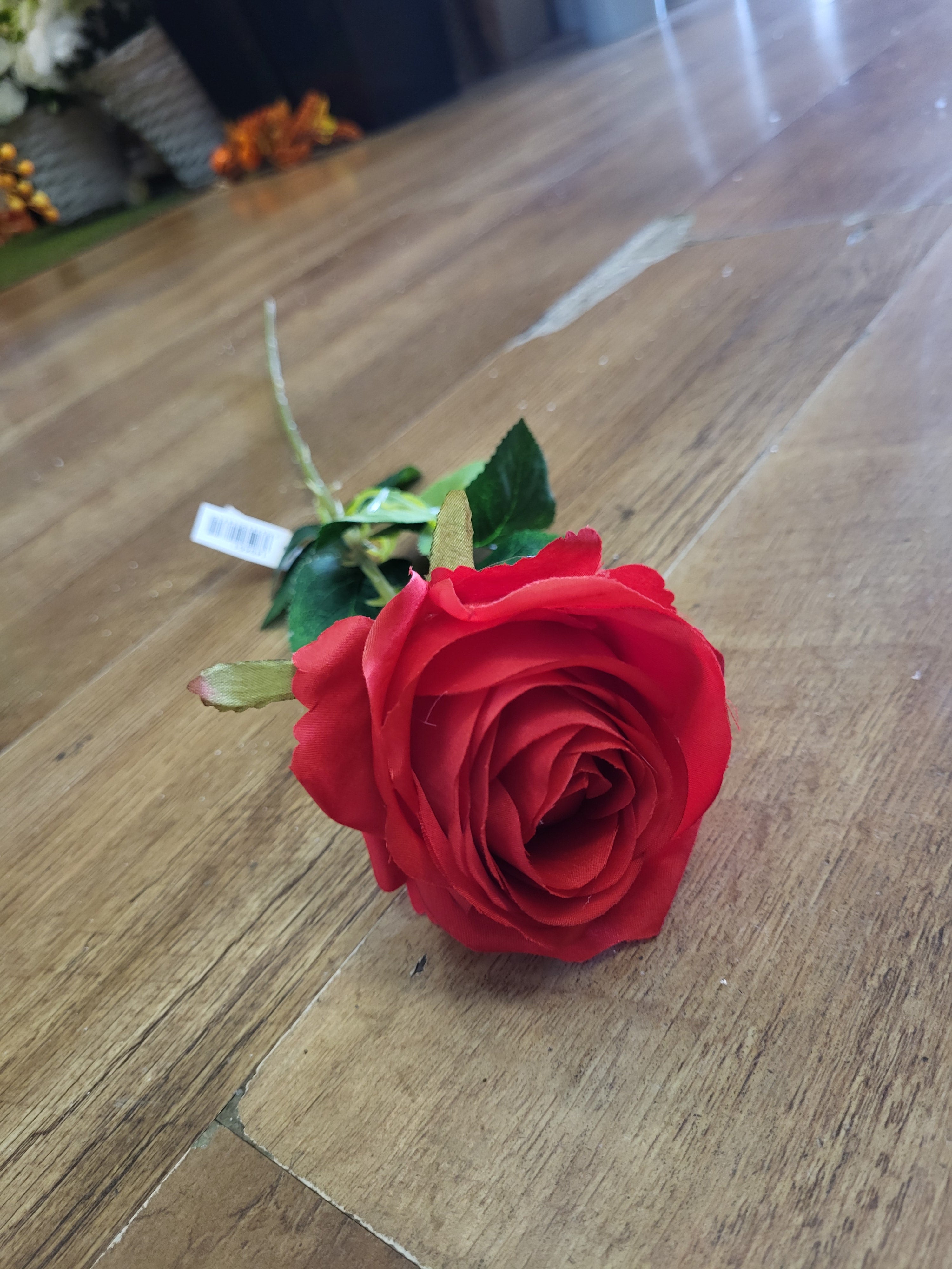 Long stem single red Harper Rose  image 1