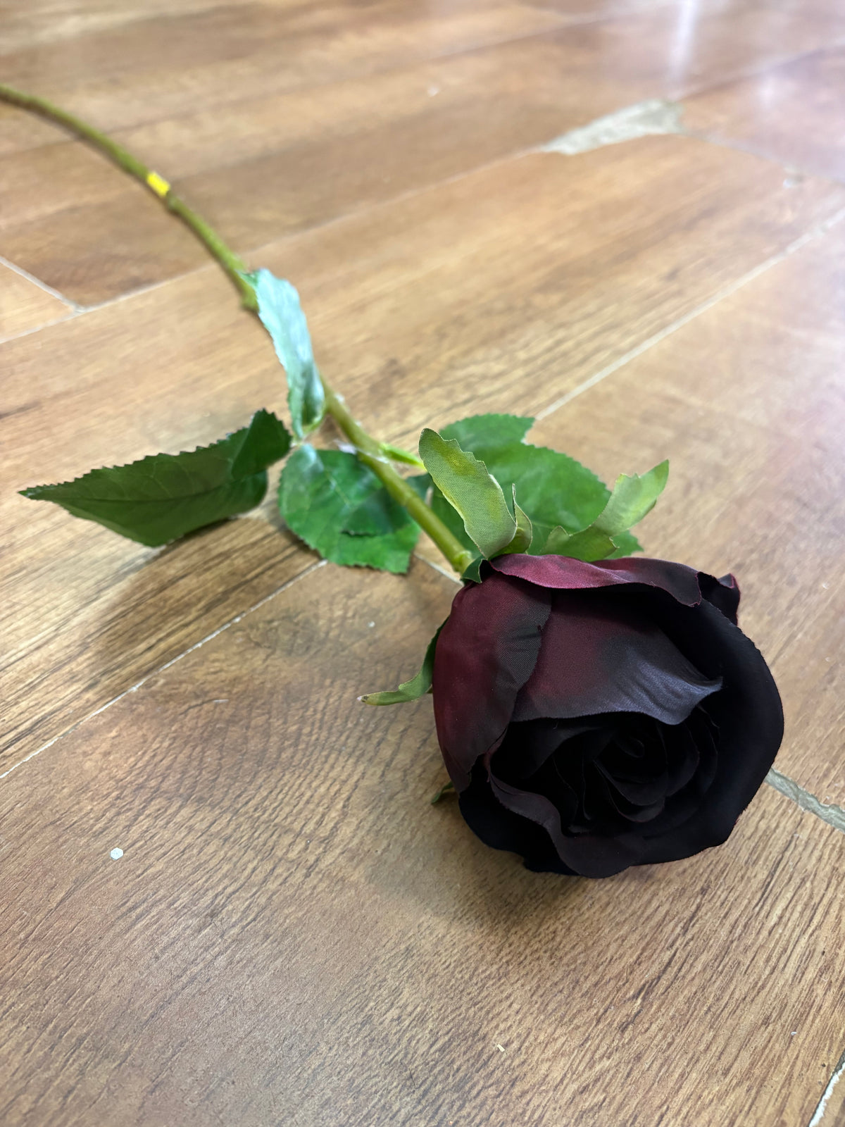 Long stem dark winter rose