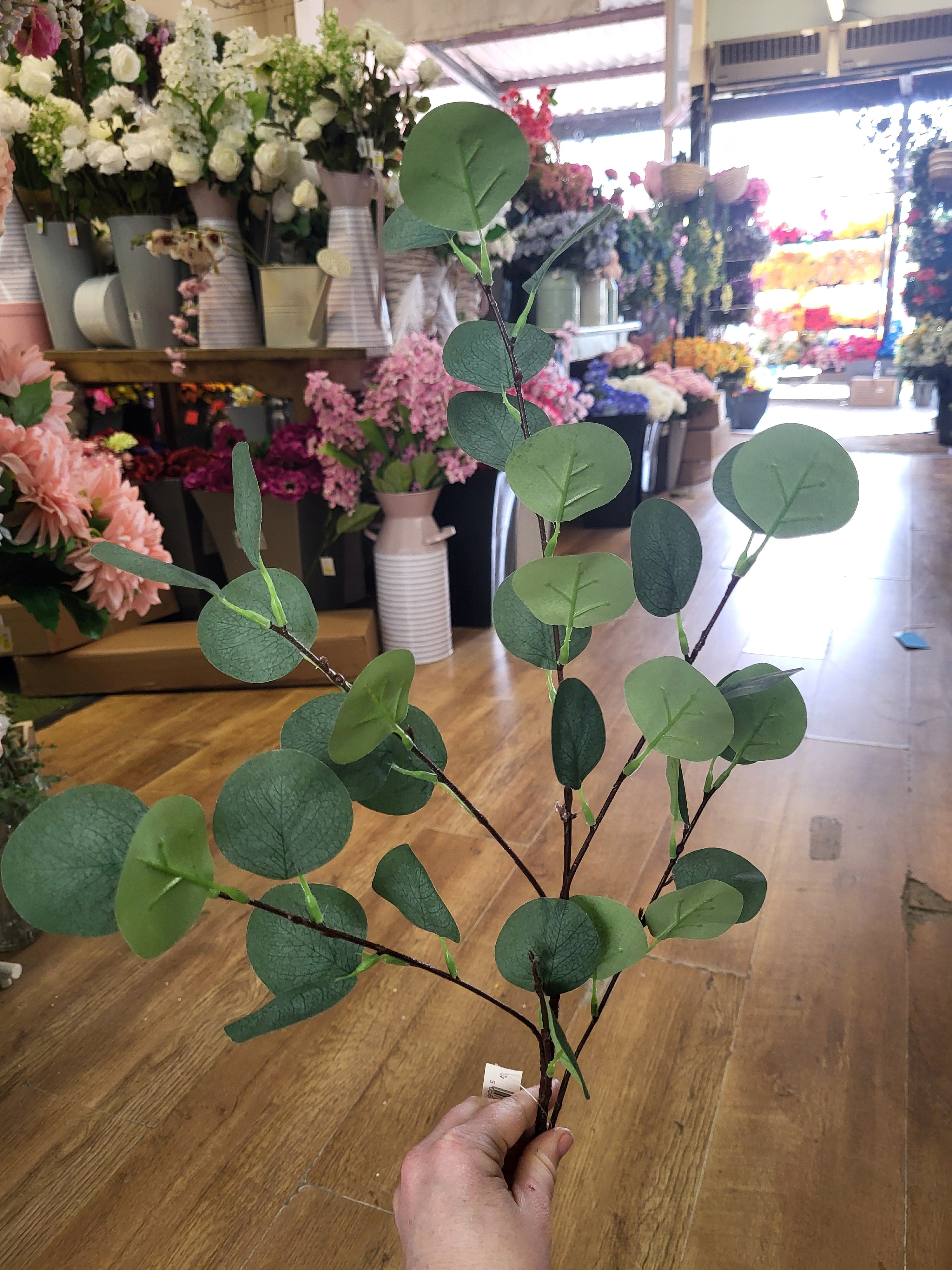 Long stem eucalyptus spray image 3