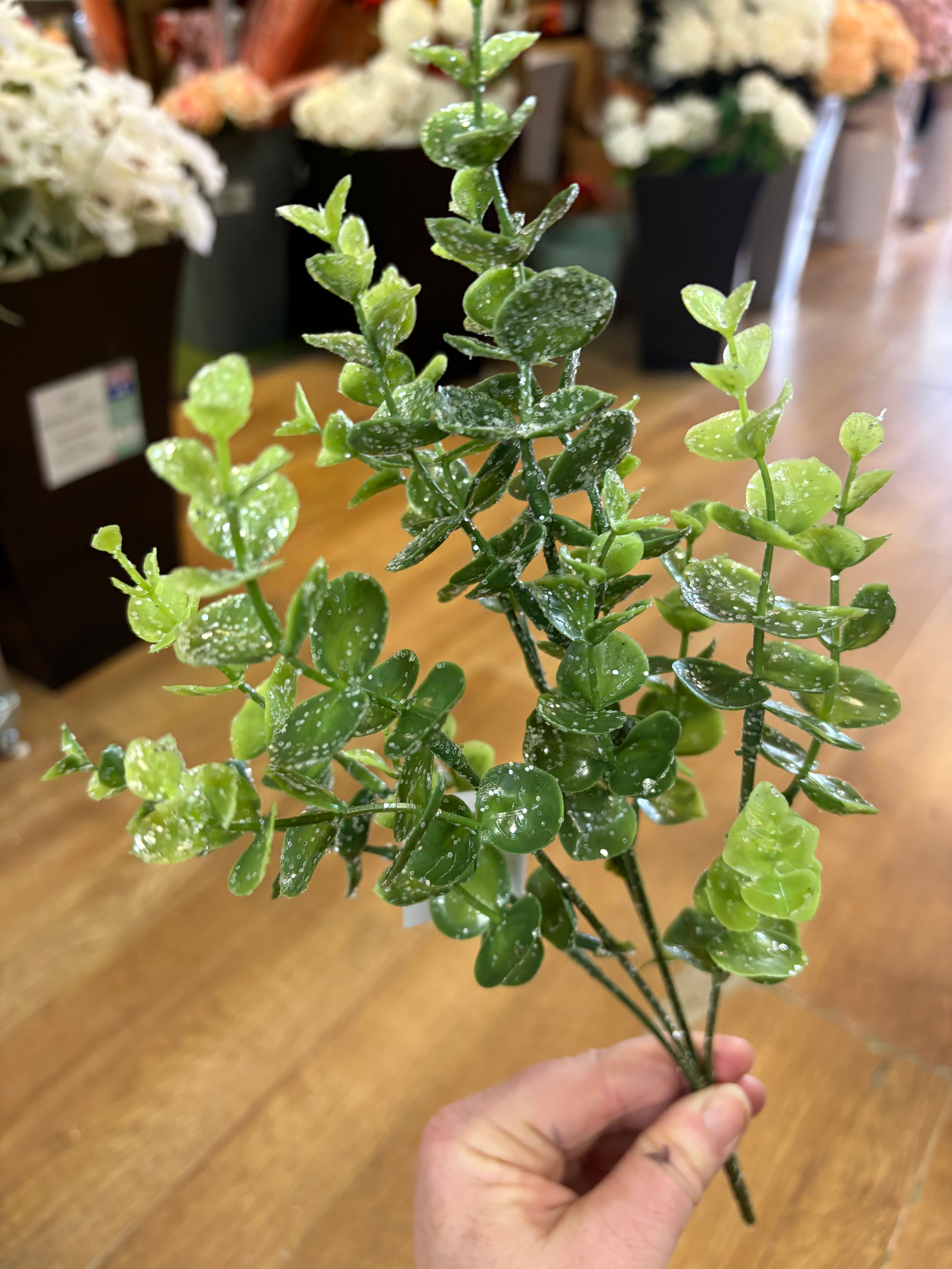 Slightly glittered eucalyptus bunch