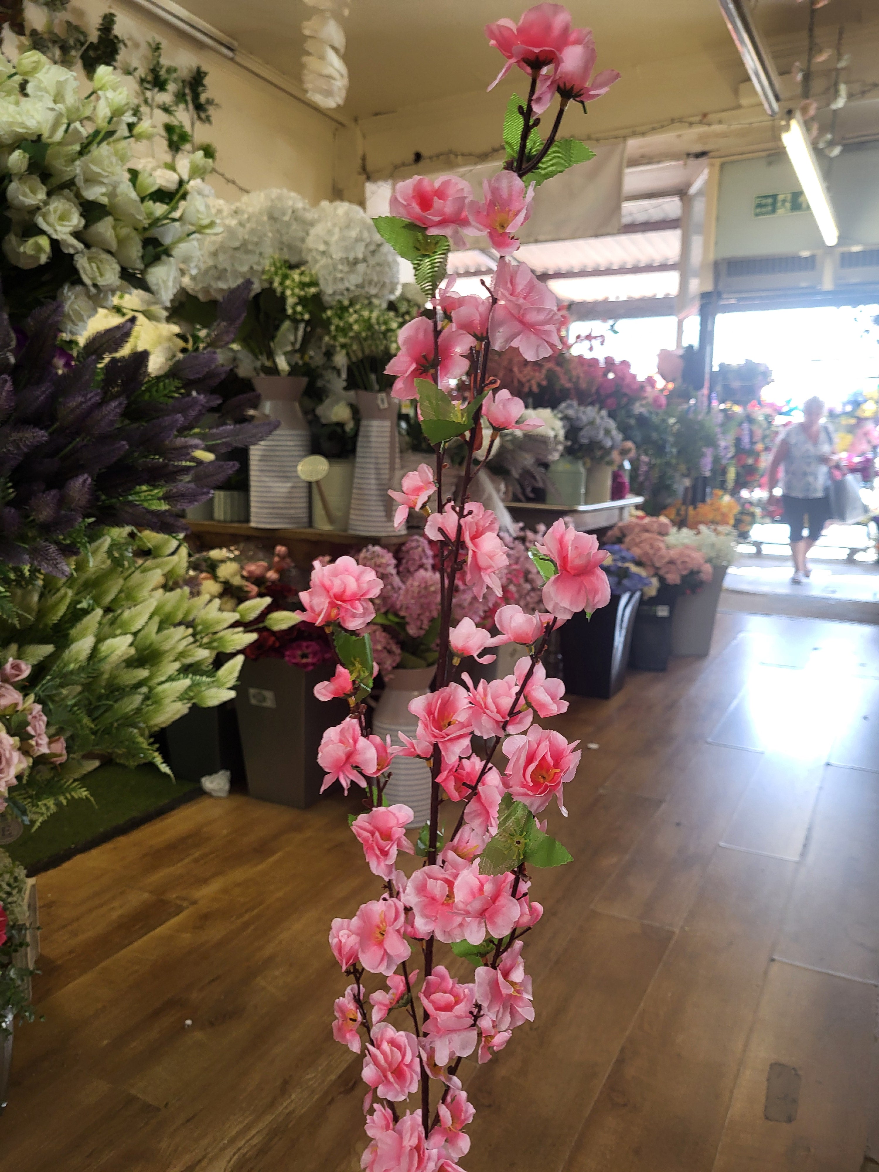 Extra tall pink blossom stem image 5