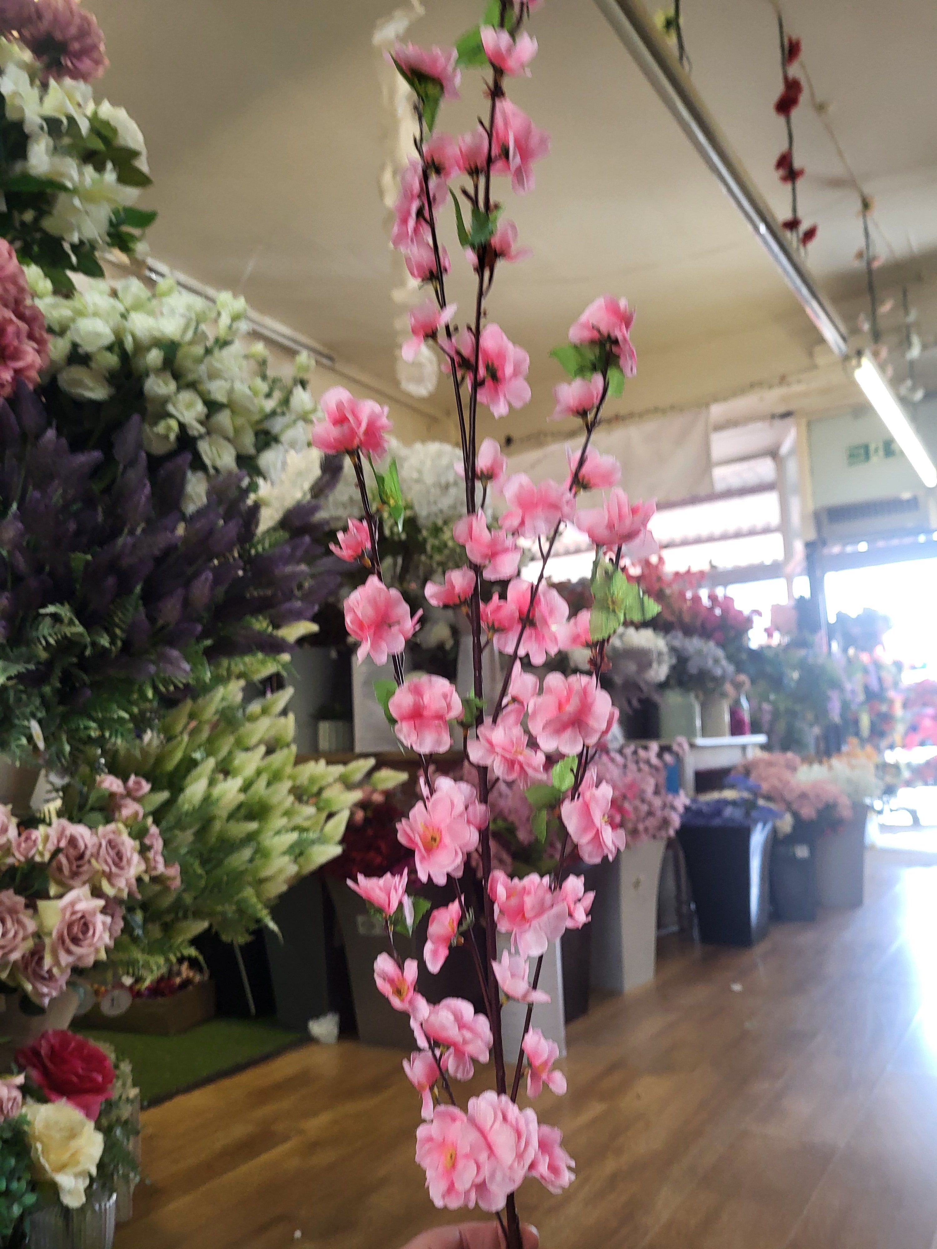 Extra tall pink blossom stem image 2