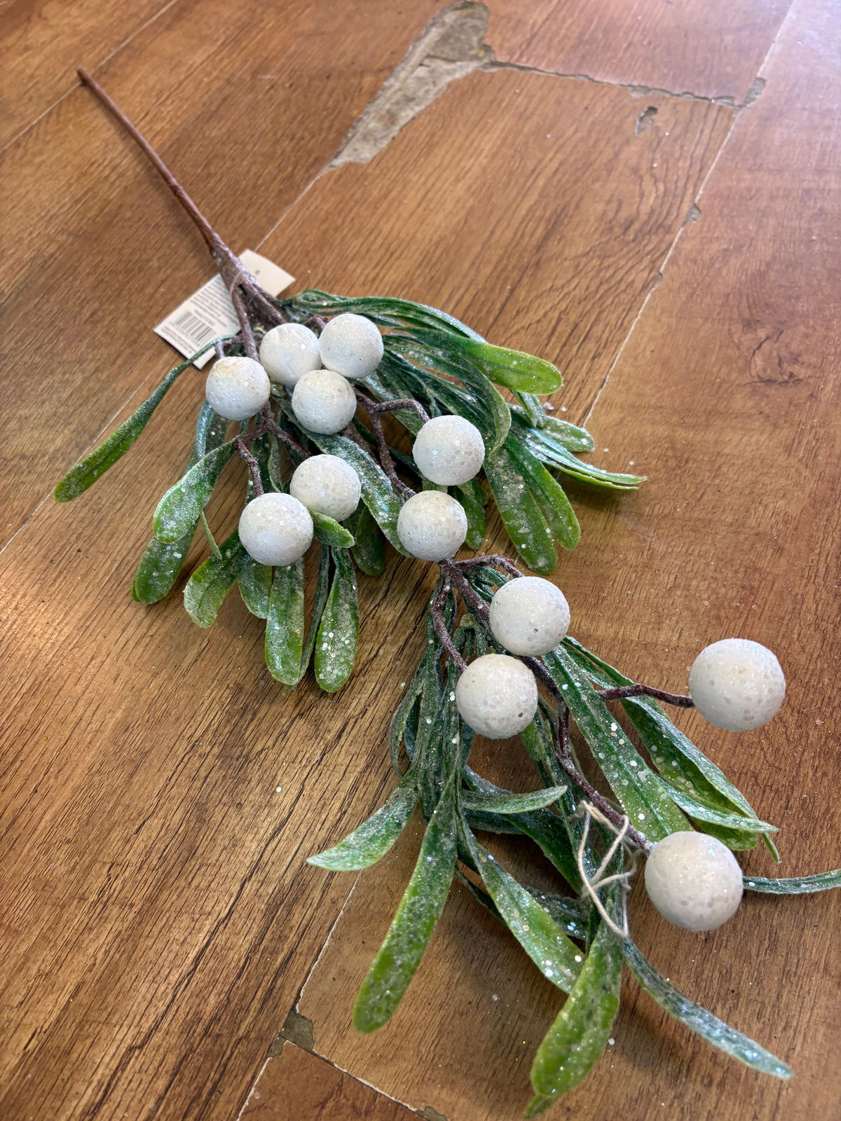 Long stem frosted large berries mistletoe stem