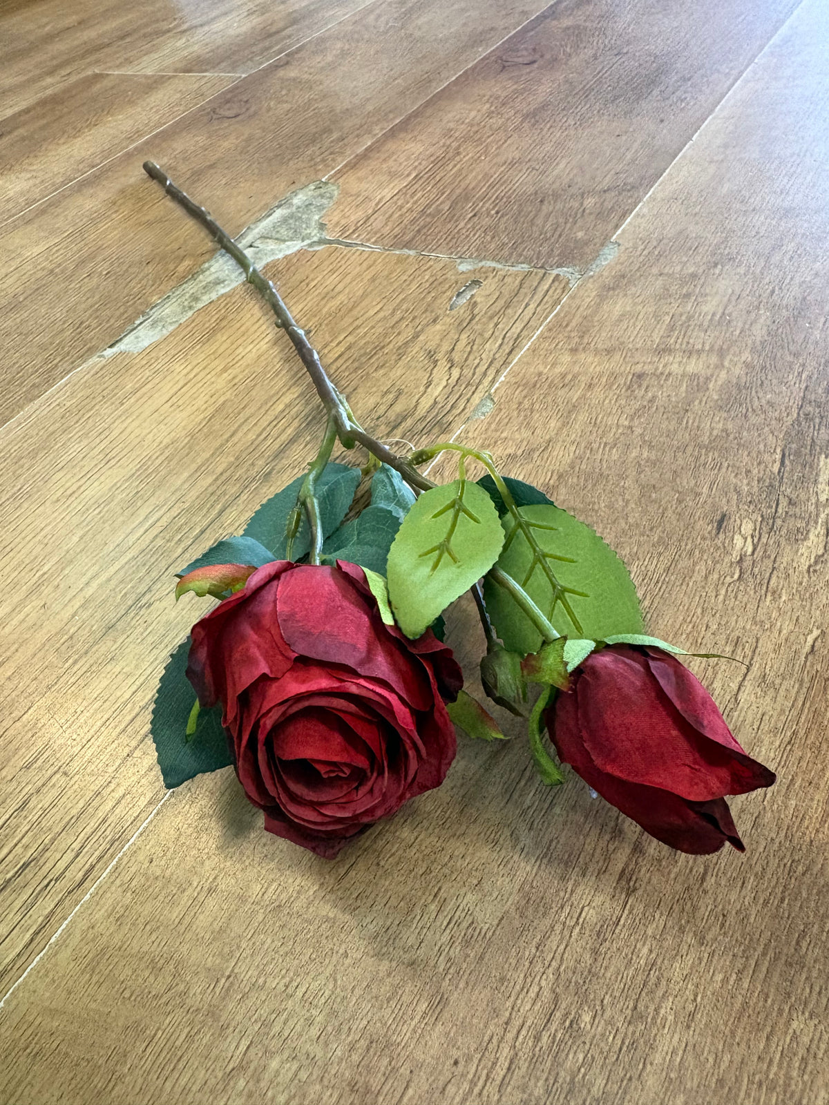 Dried inspired red single Gemini rose
