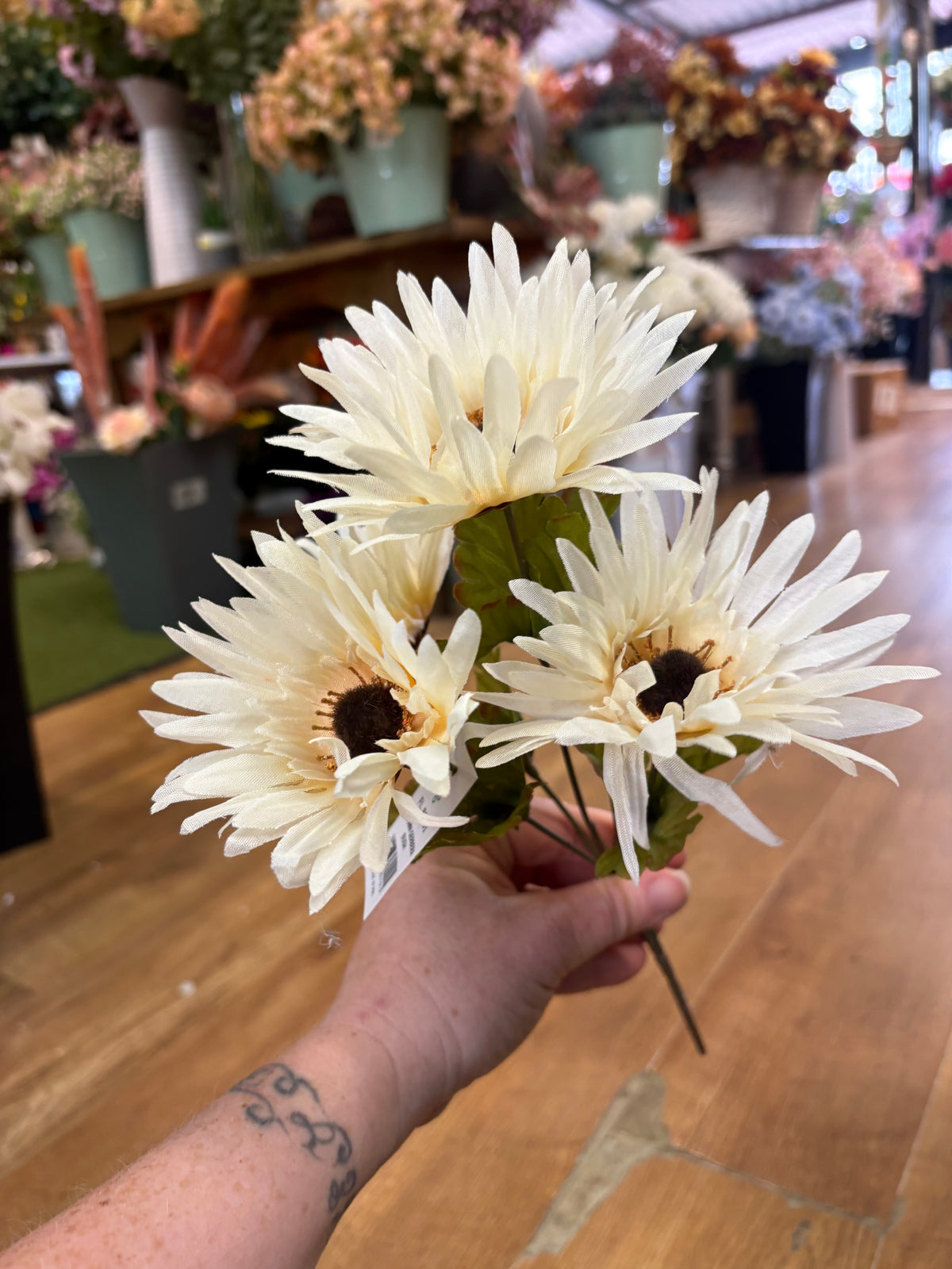 Autumn gerbera bush - 4 colours available