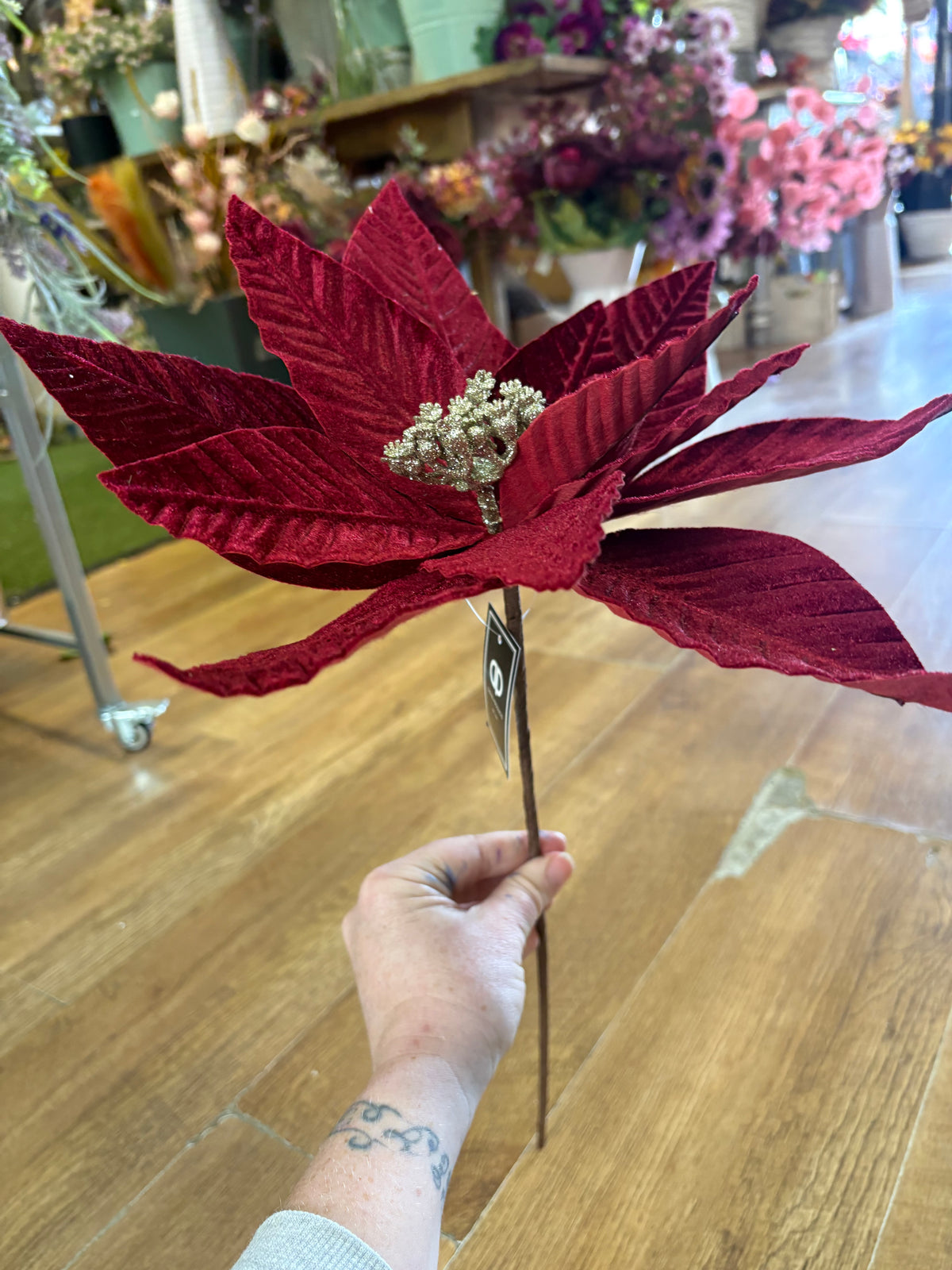 Large burgundy velvet single poinsettia
