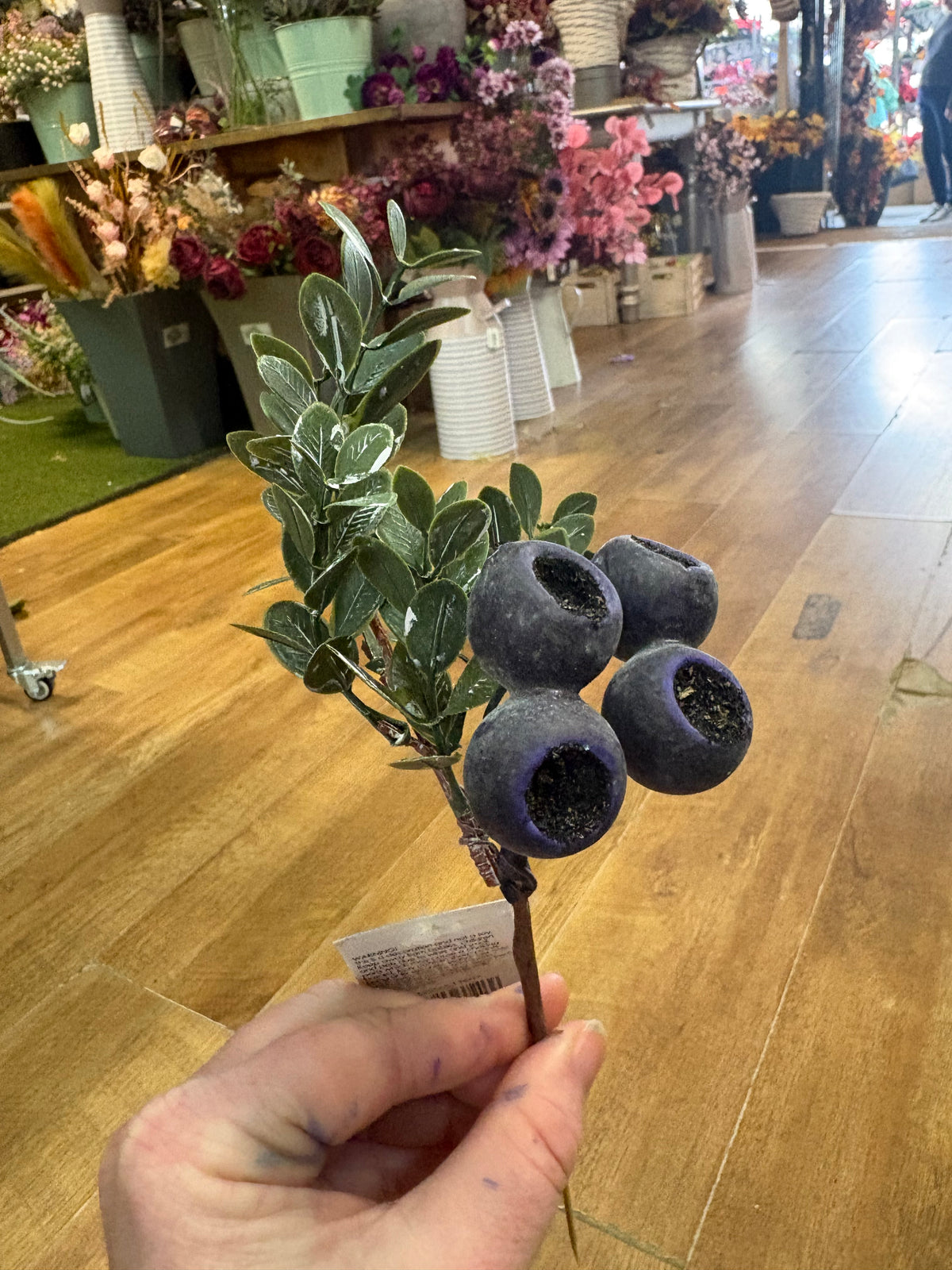 Blueberry pick