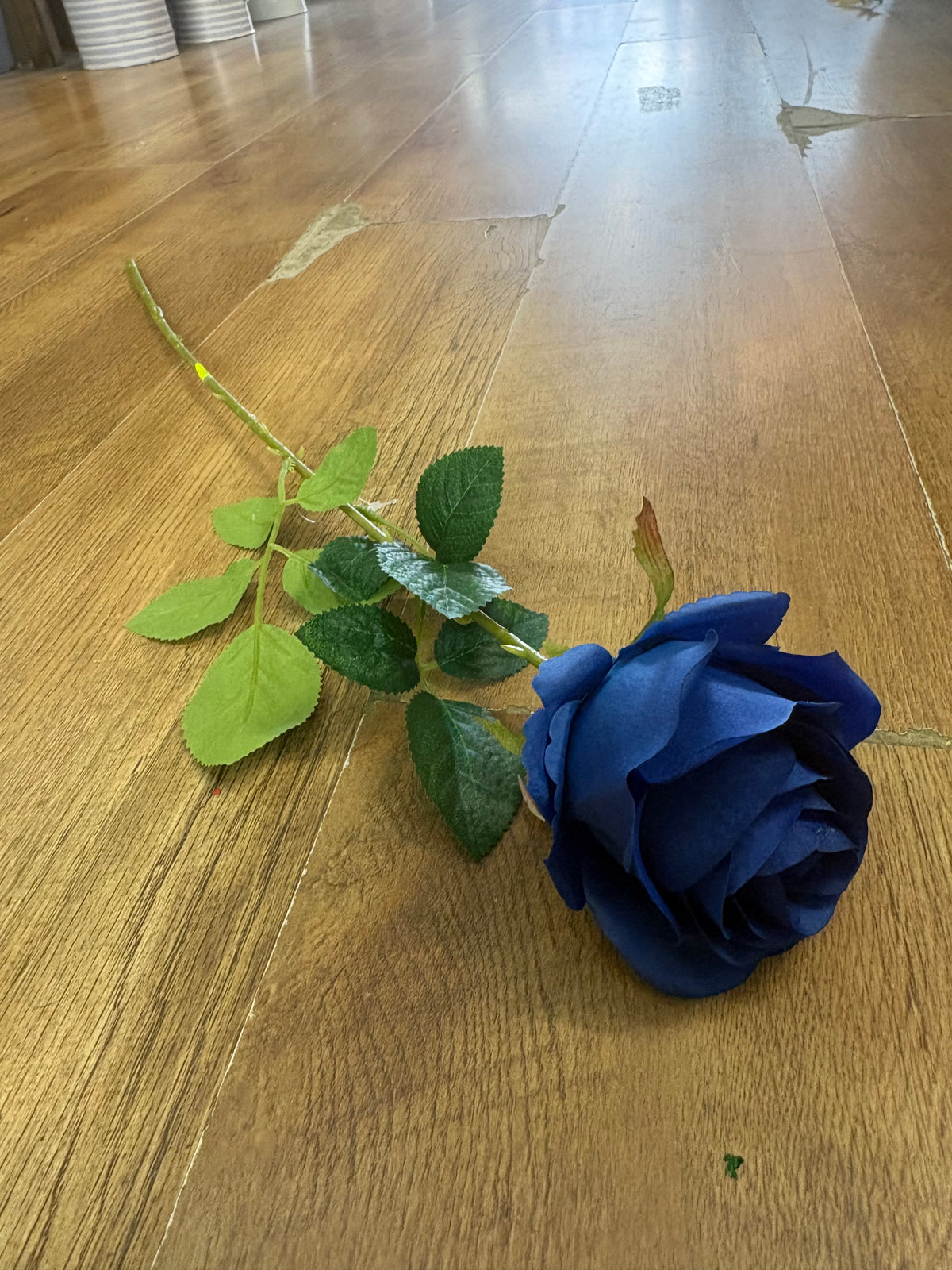 Single Royal blue harper rose