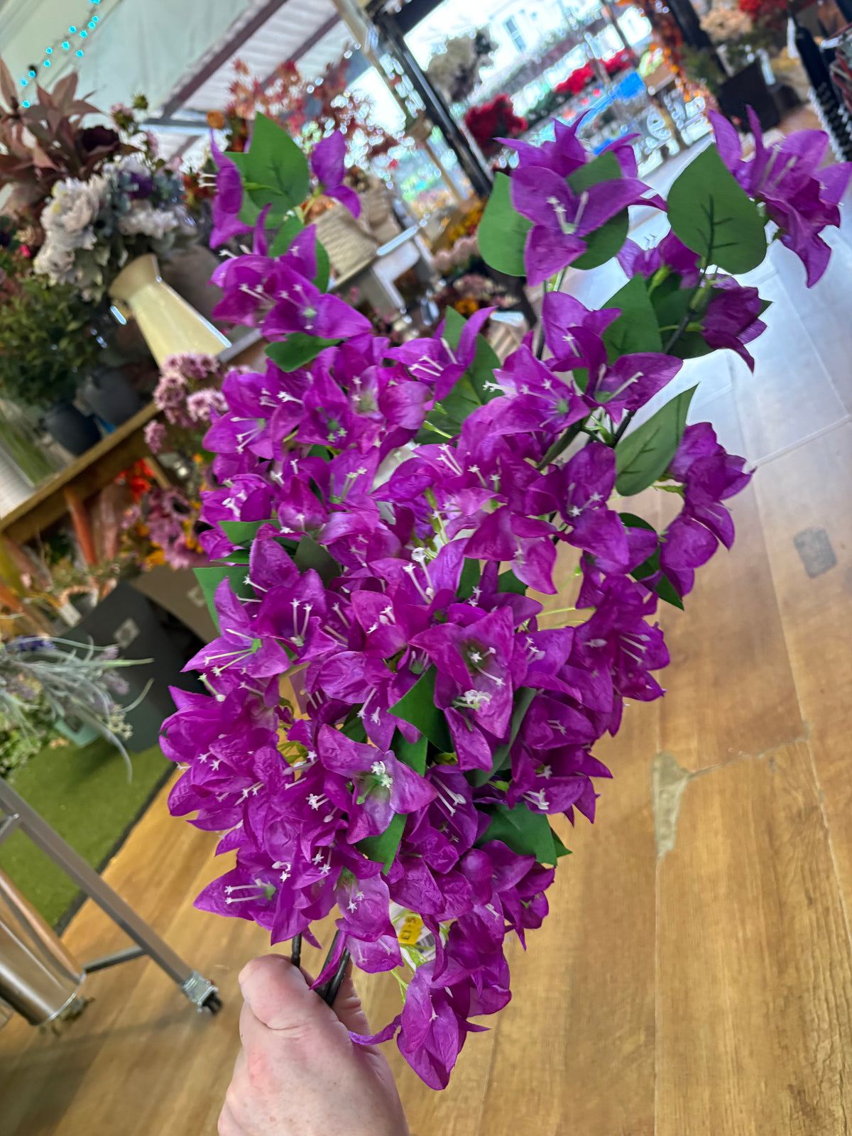 Long stem purple clearance bundle