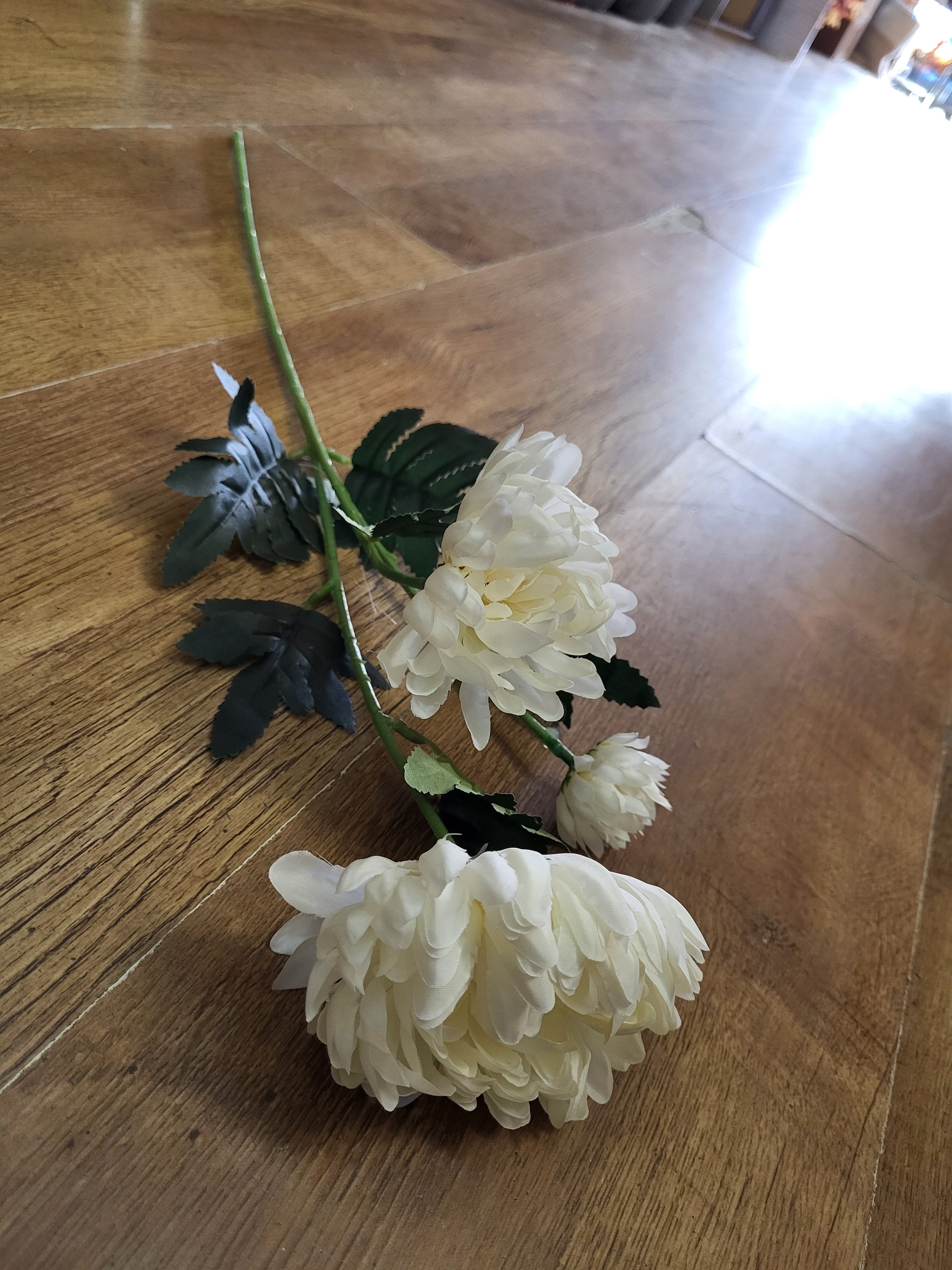 63cm tall Ivory 3 headed chrysanthemum stem image 6