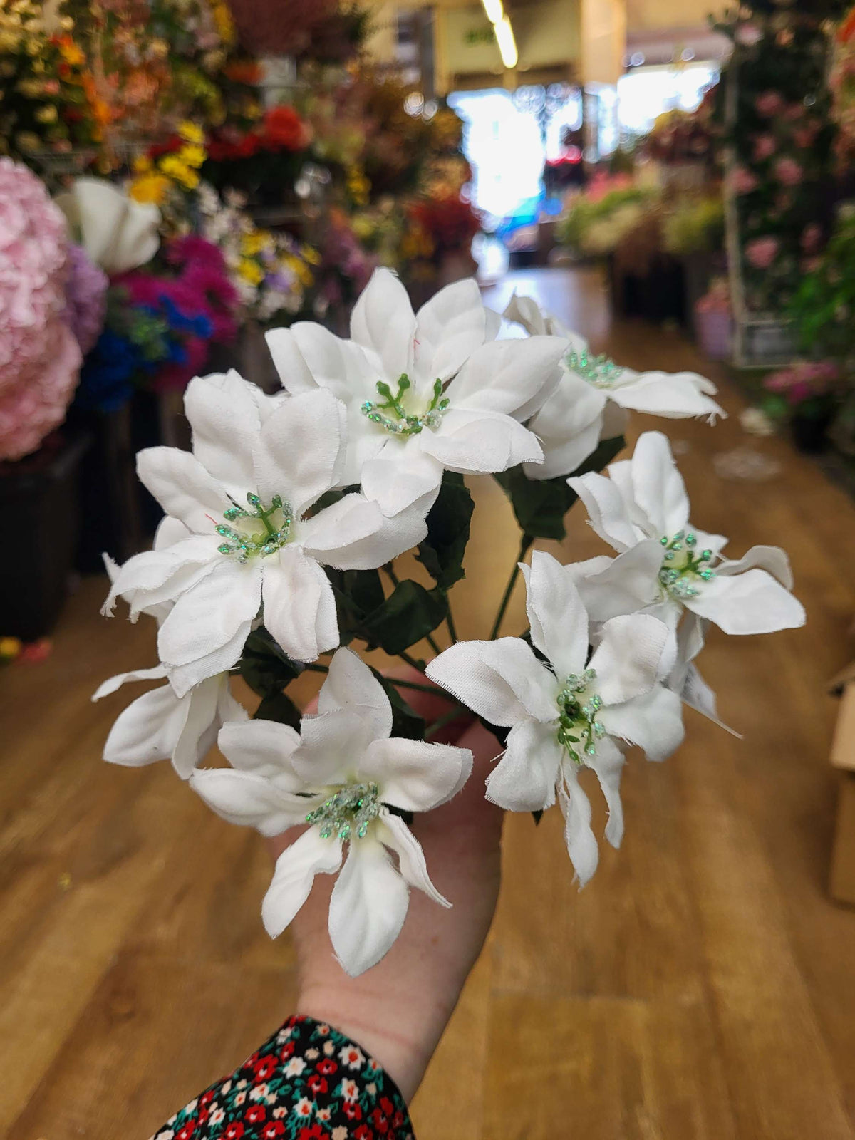 Mini poinsettia bunch - 4 colours available image 5