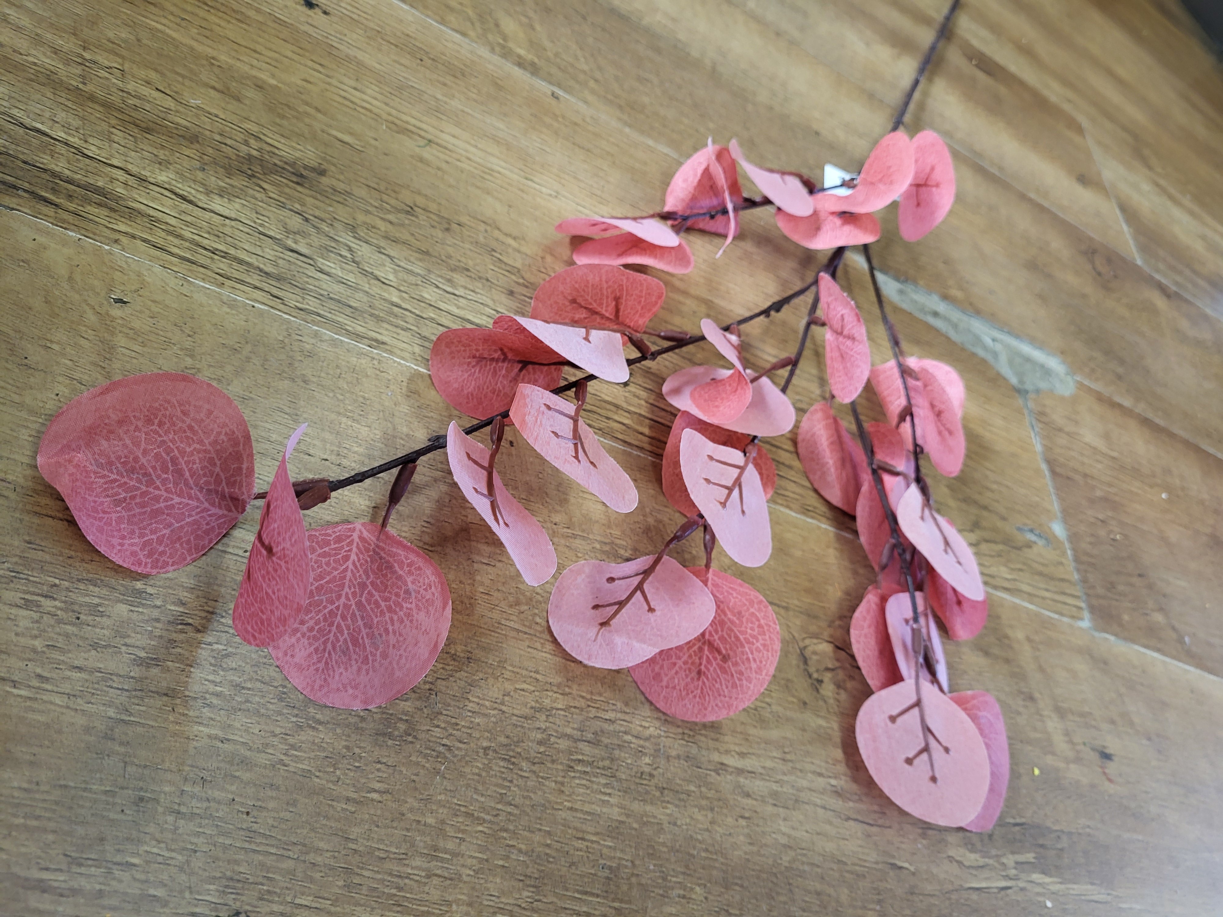 Long stem orangey/red eucalyptus spray image 4