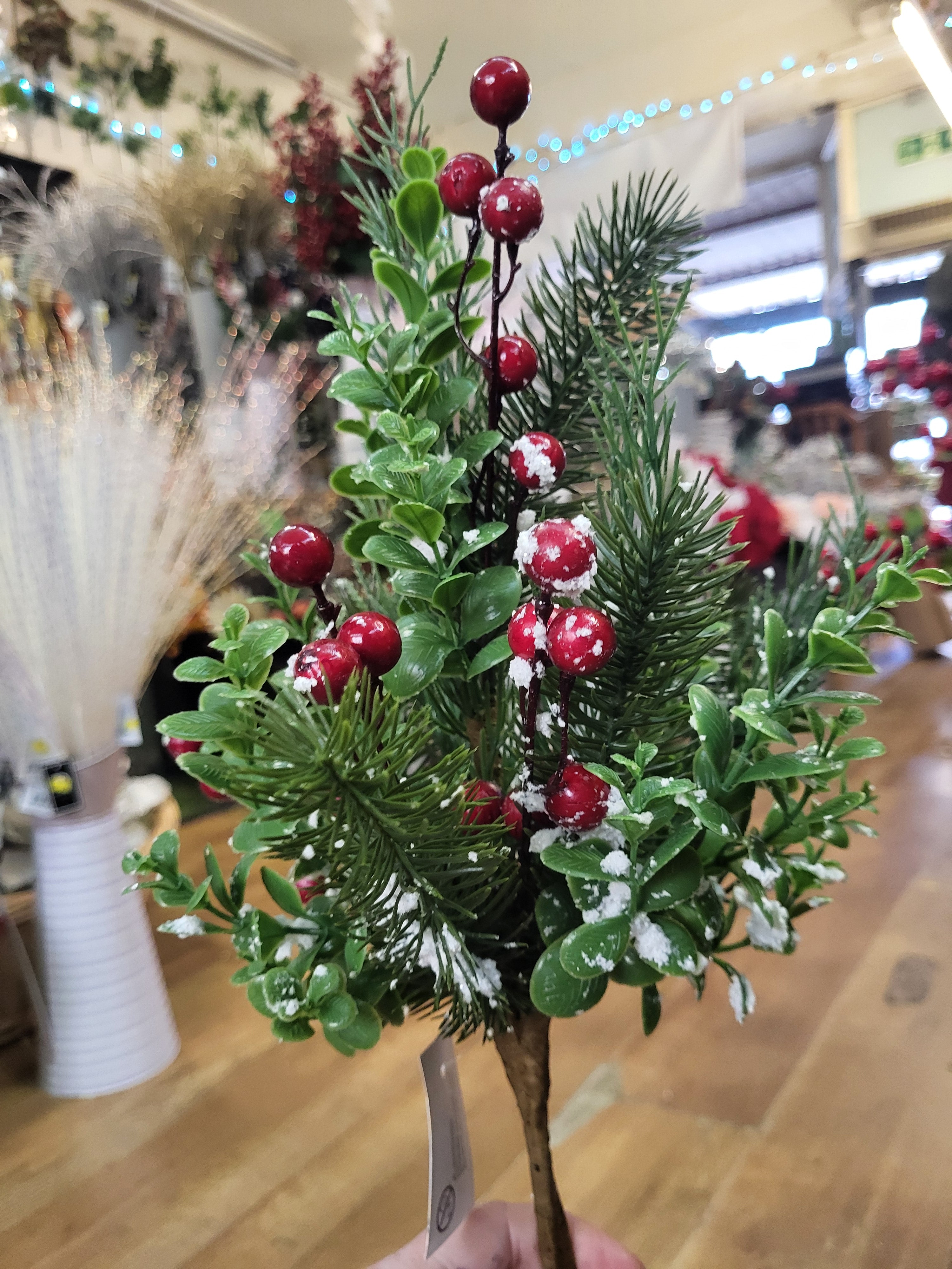 Snowberry/eucalyptus/pine bush image 4