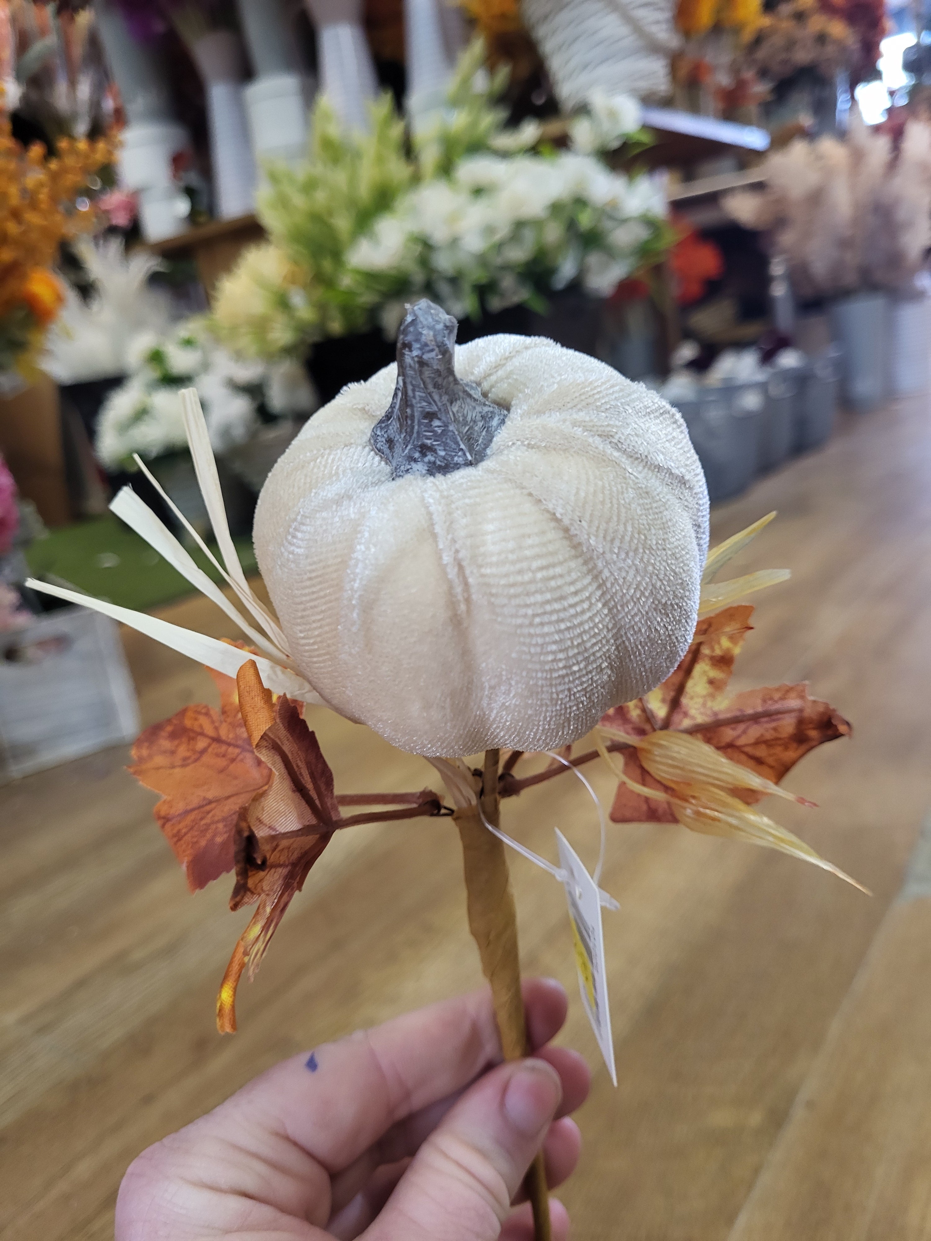 Medium cream velvet pumpkin stem  image 3