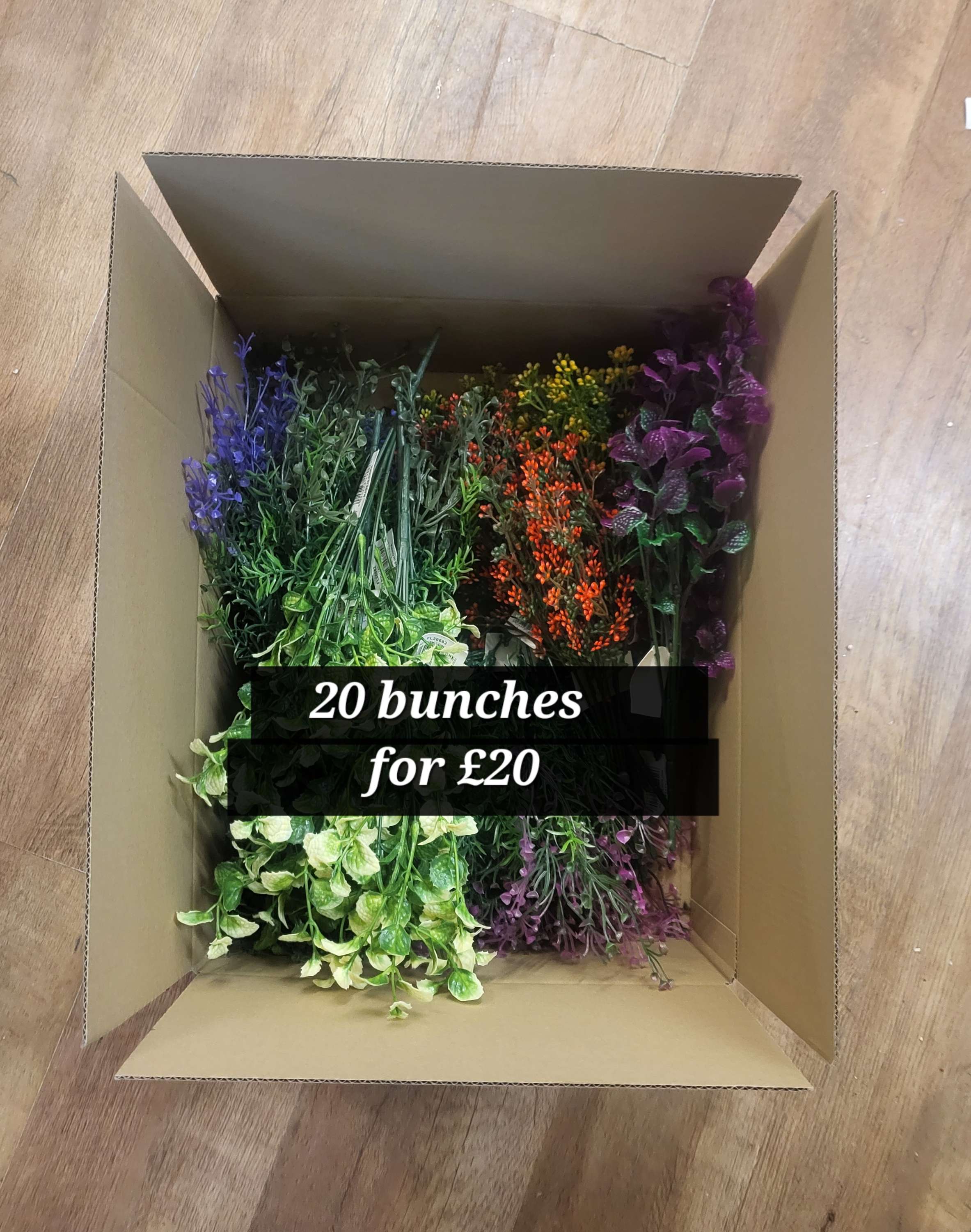Box of 20 coloured greenery (10 styles, 2 of each) read description image 0