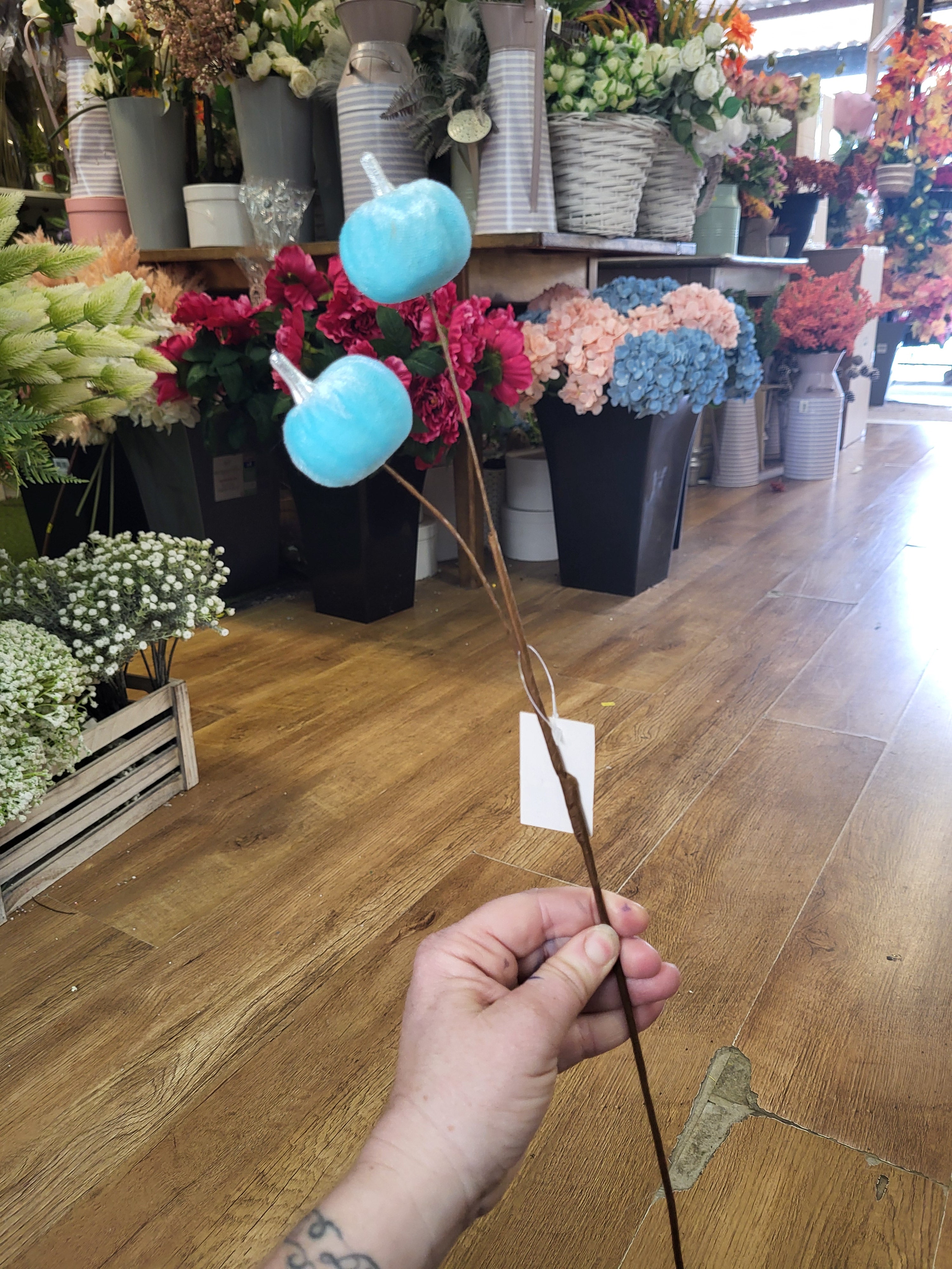 Medium length pale blue velvet pumpkin stem  image 3