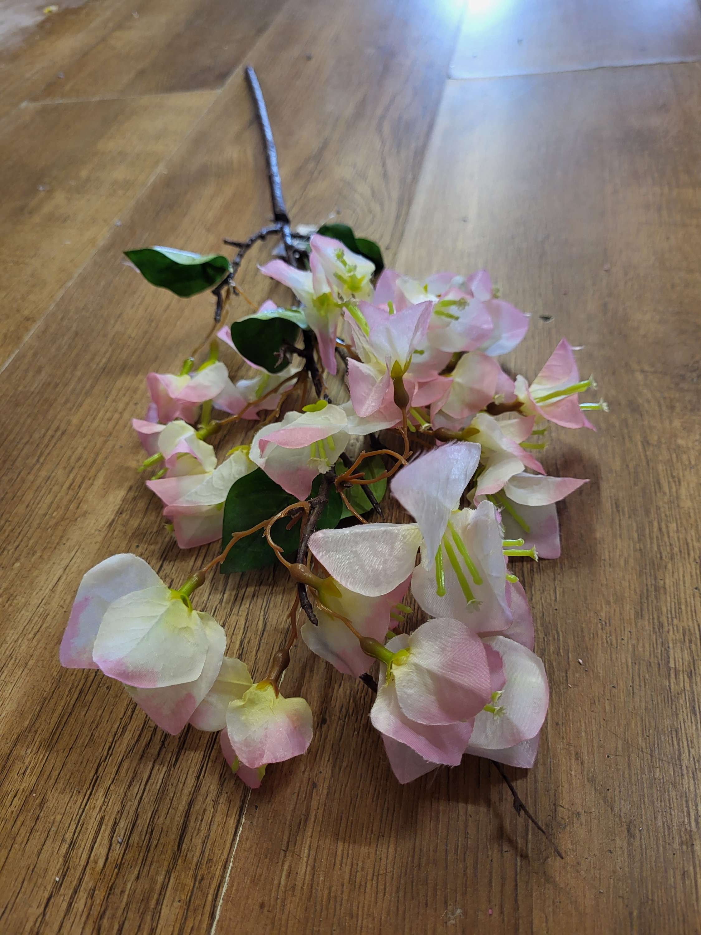 Pink bougainvillea stem image 3