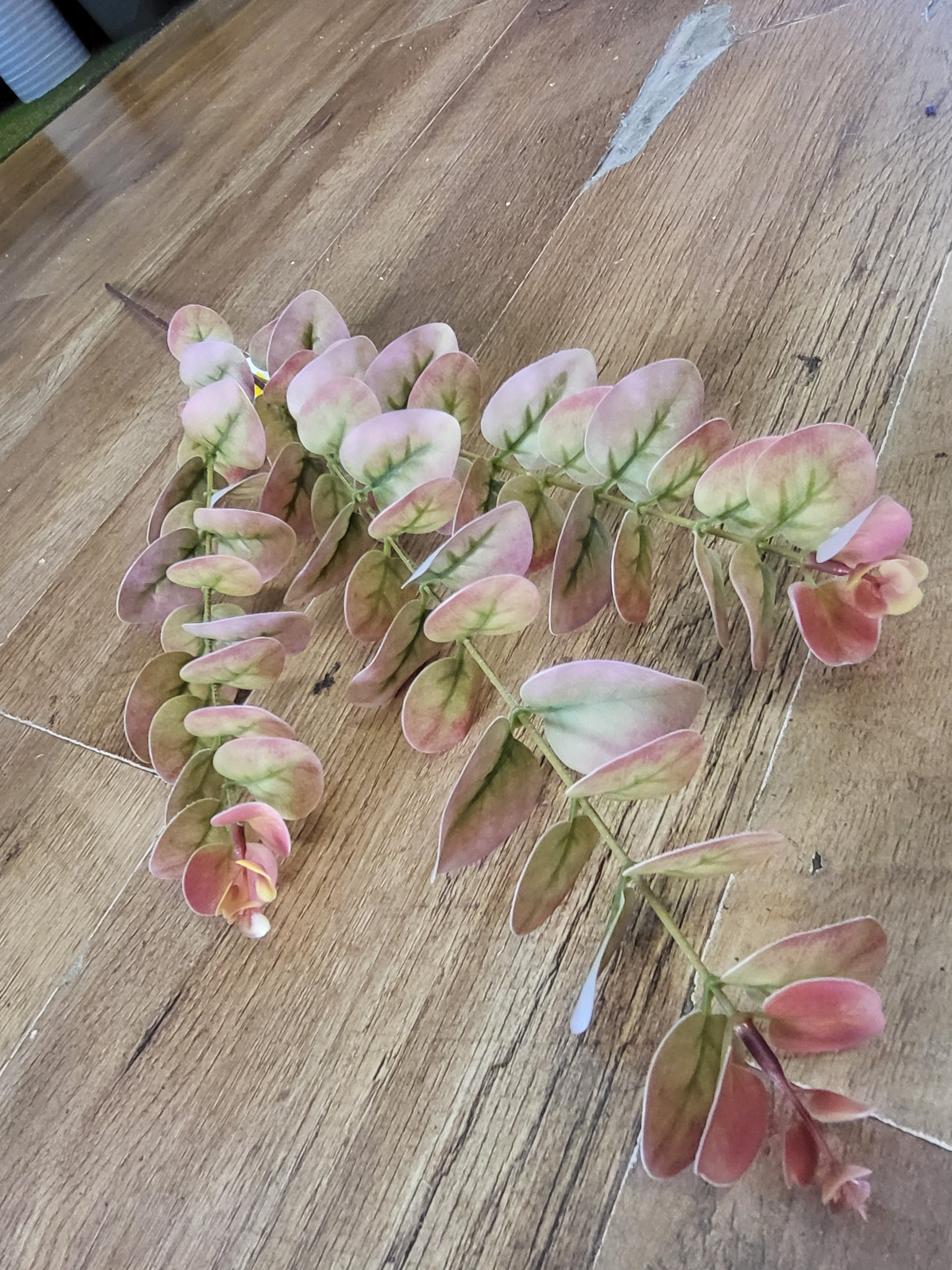 Long stem dark pink and green eucalyptus spray image 2