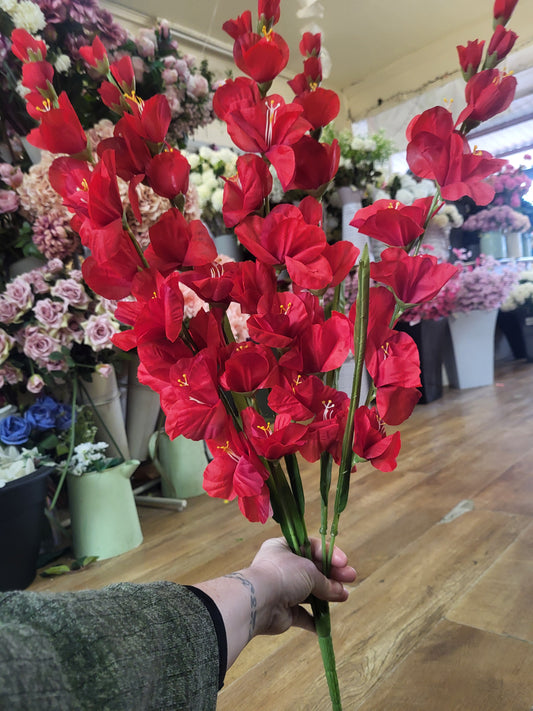Large 5 stemmed bunch of red gladioli image 0