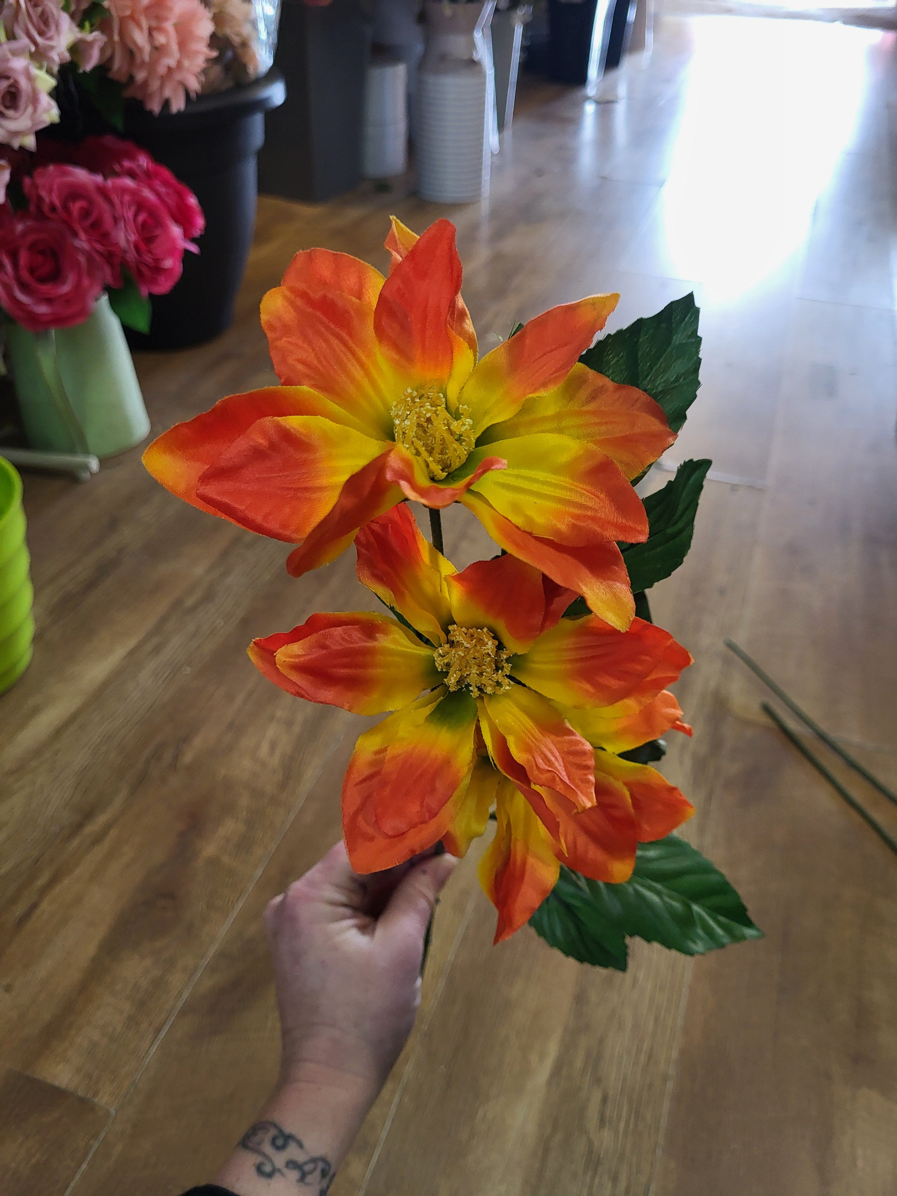 Long stem zinnia - 4 colours available image 2