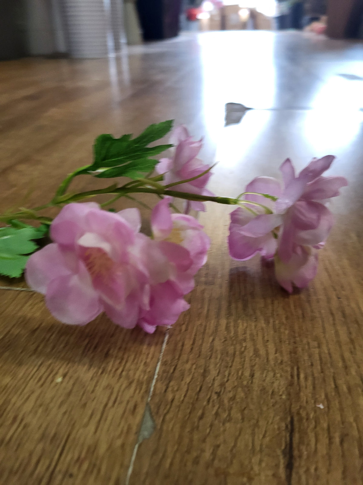 Short stem pink Delia  image 4