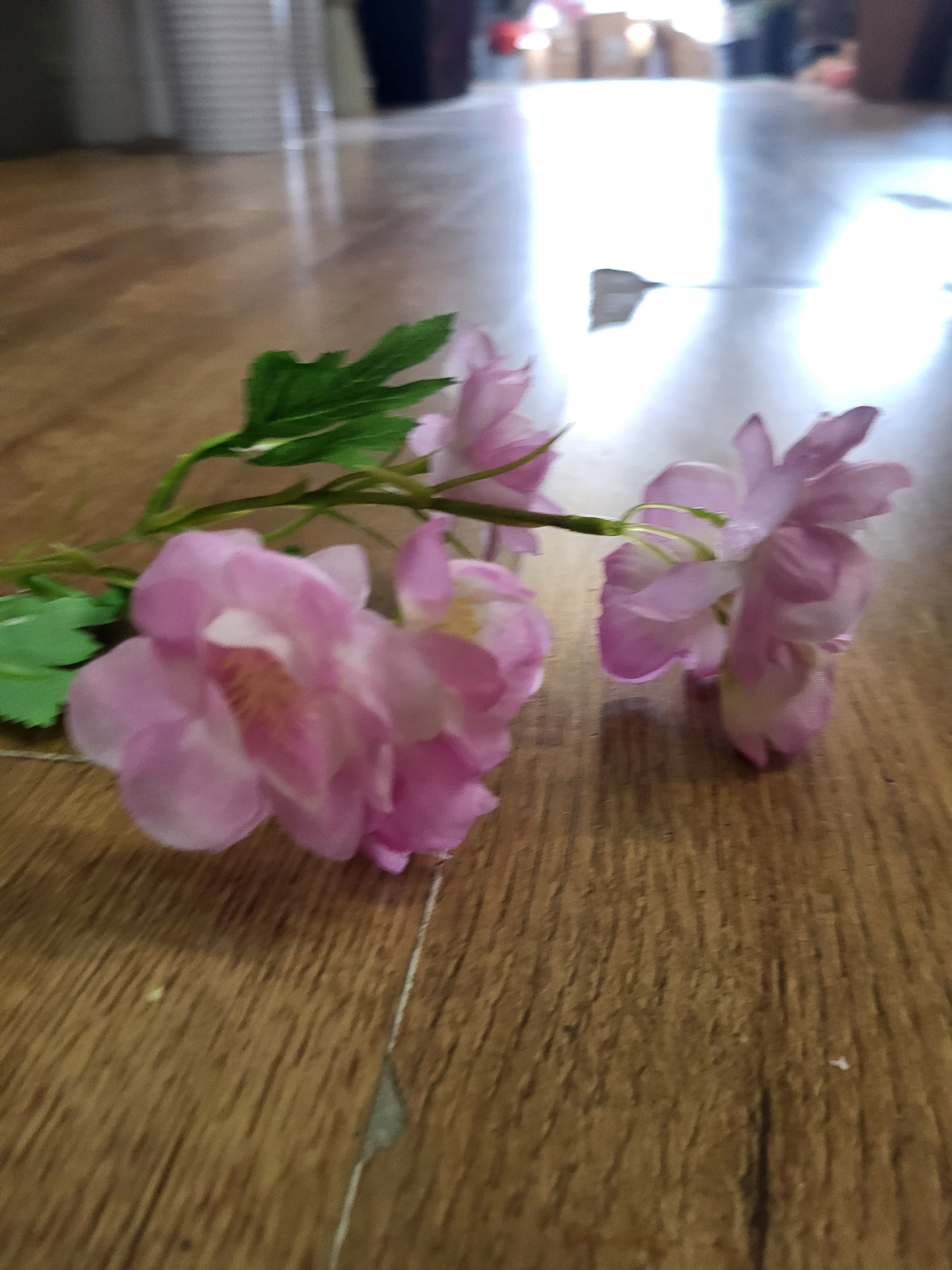 Short stem pink Delia  image 4