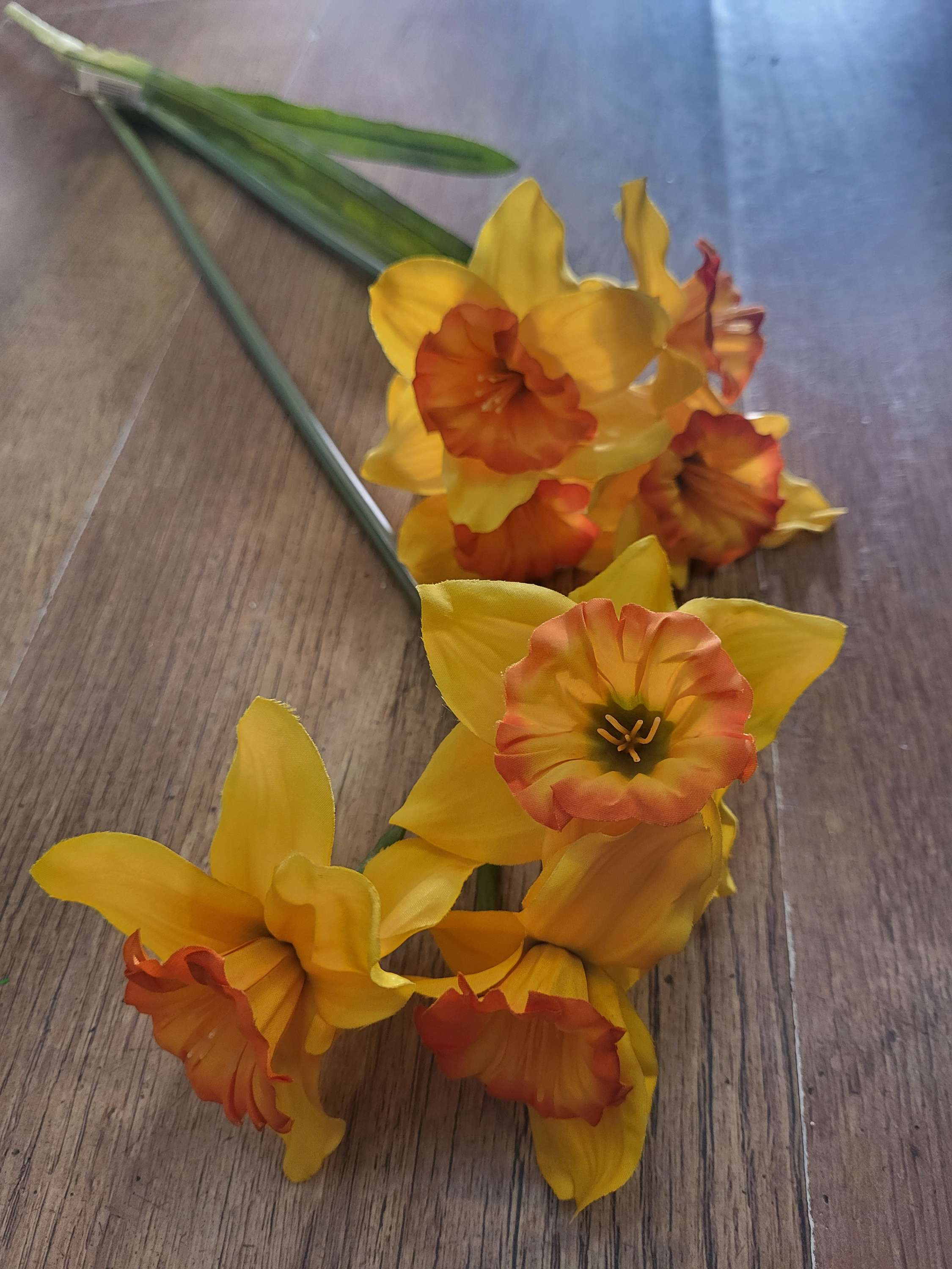 Long stem ruffled daffodil spray image 4