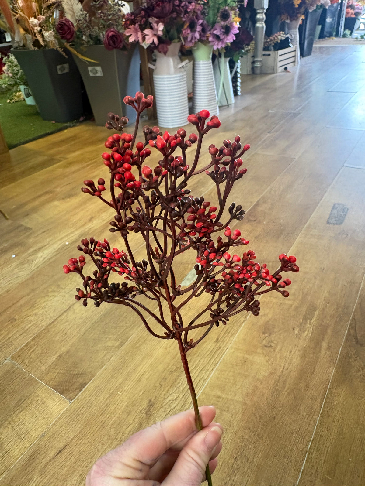 Mixed reds felicity bud pick