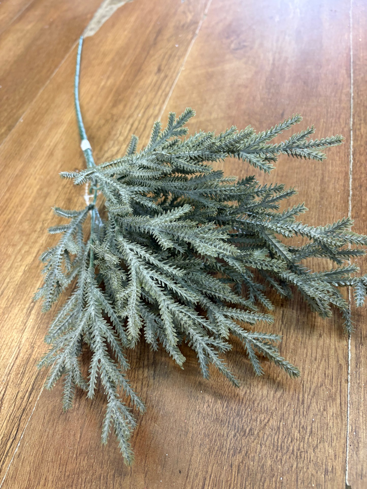 Long stem winter foliage