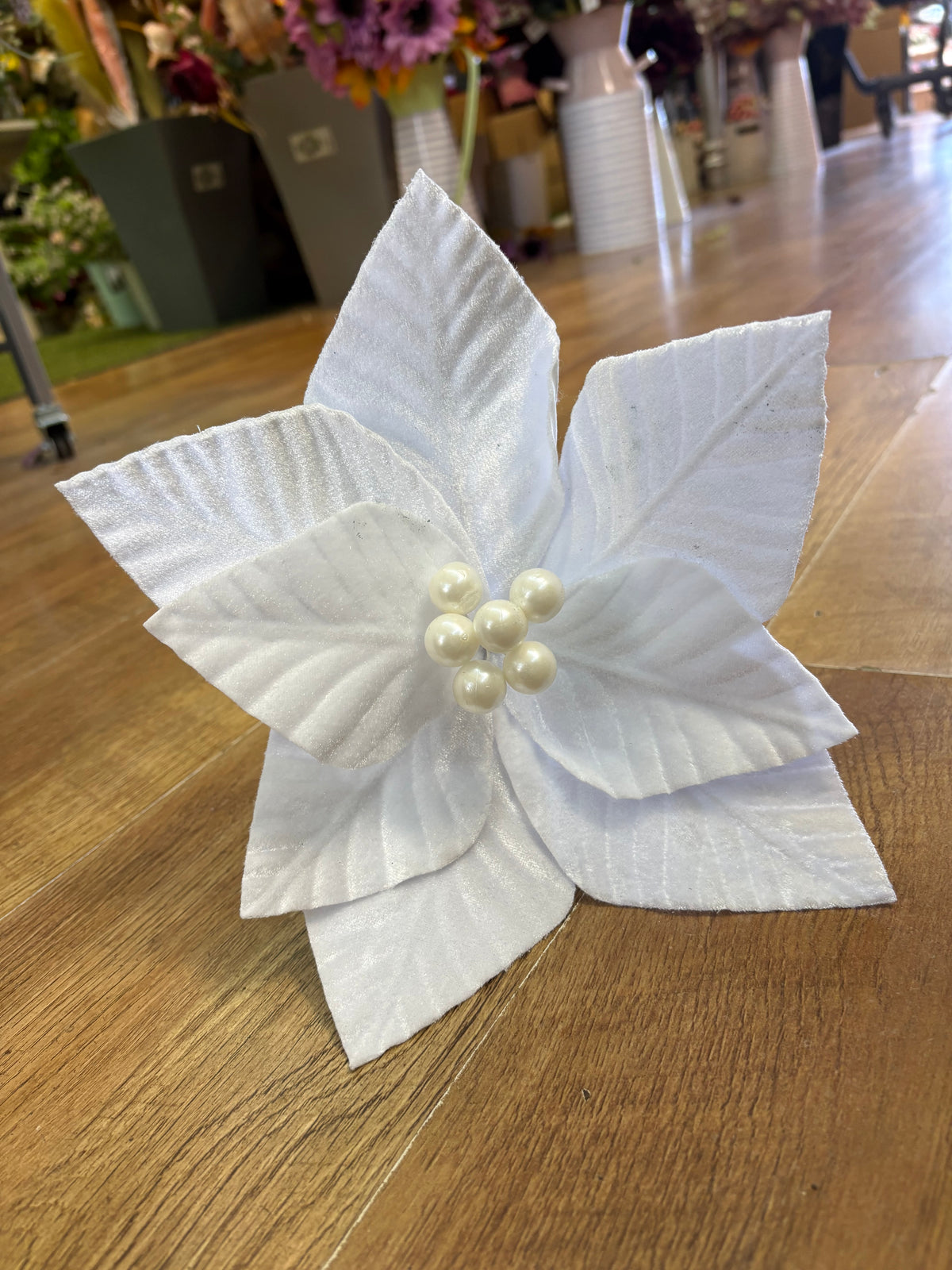 Short stem white velvet poinsettia