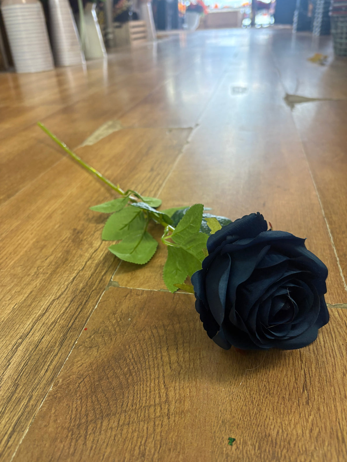 Single Navy harper rose