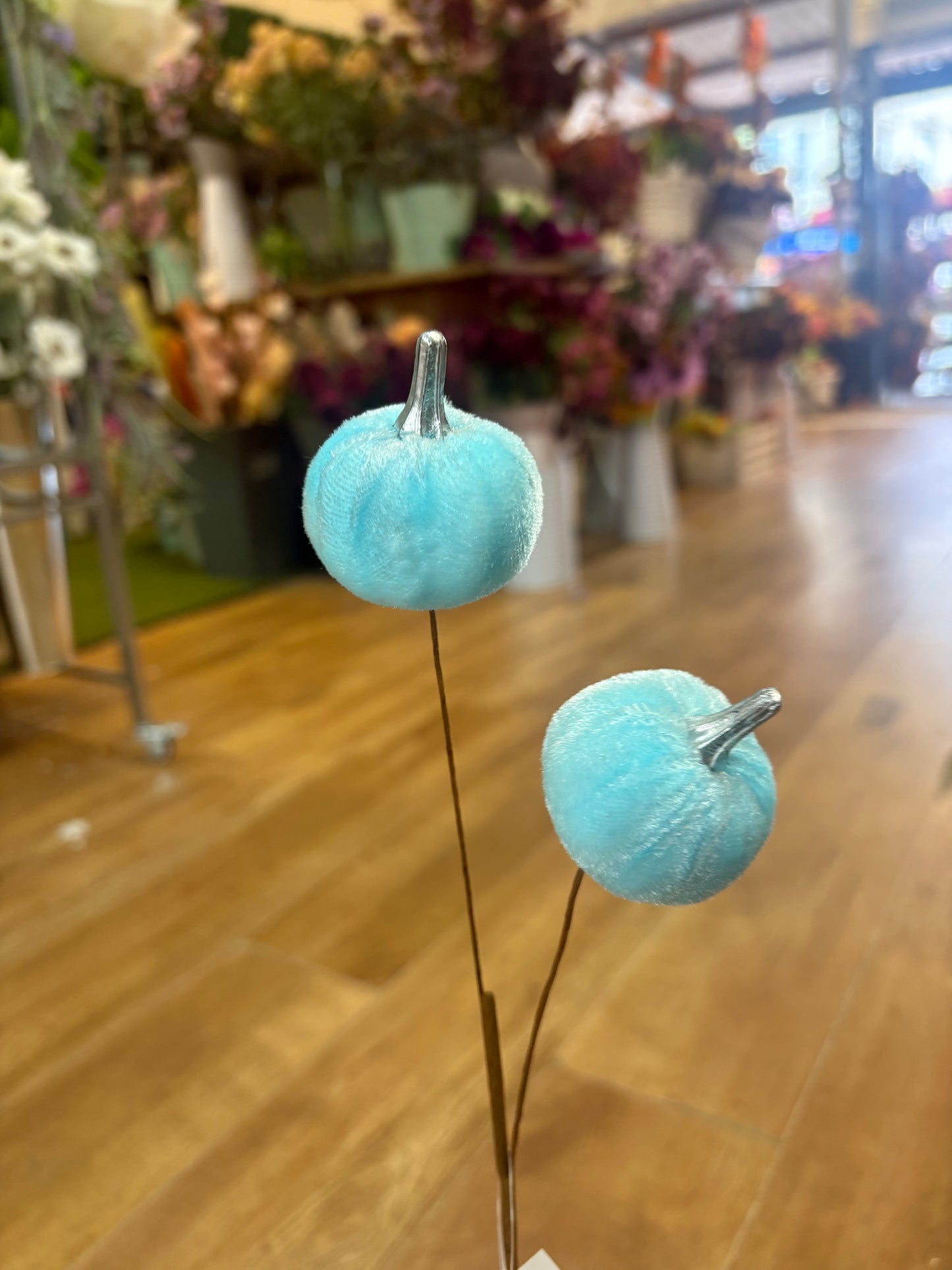 Pale blue velvet pumpkin stem