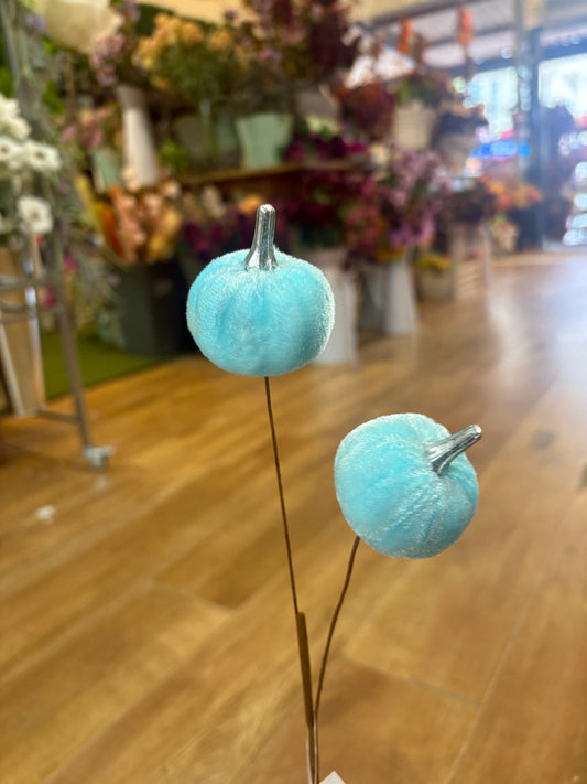 Pale blue velvet pumpkin stem