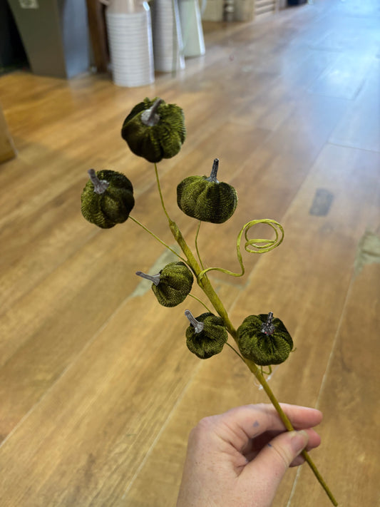 Dark green miniature velvet pumpkin stem