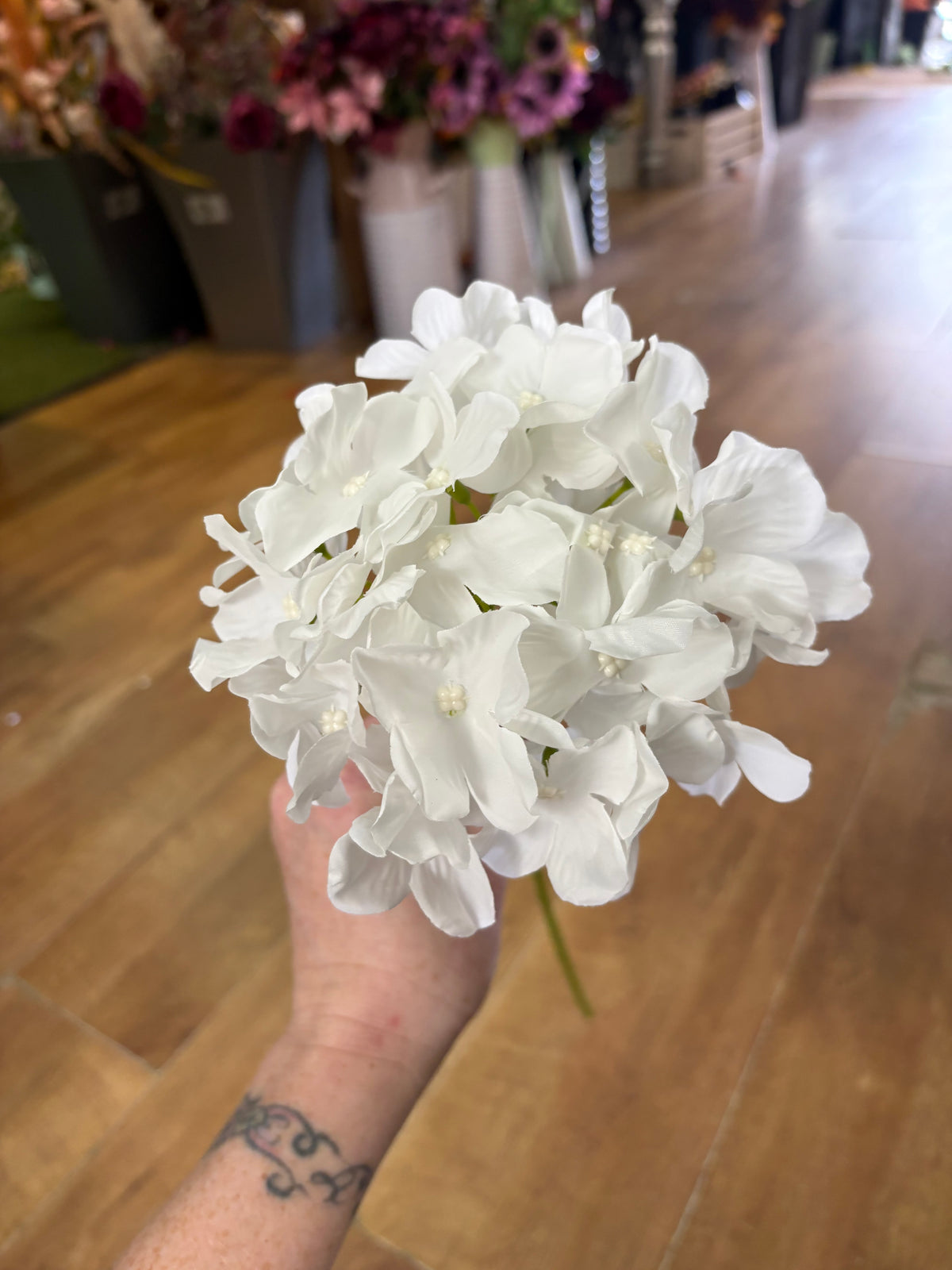 Long stem white single hydrangea