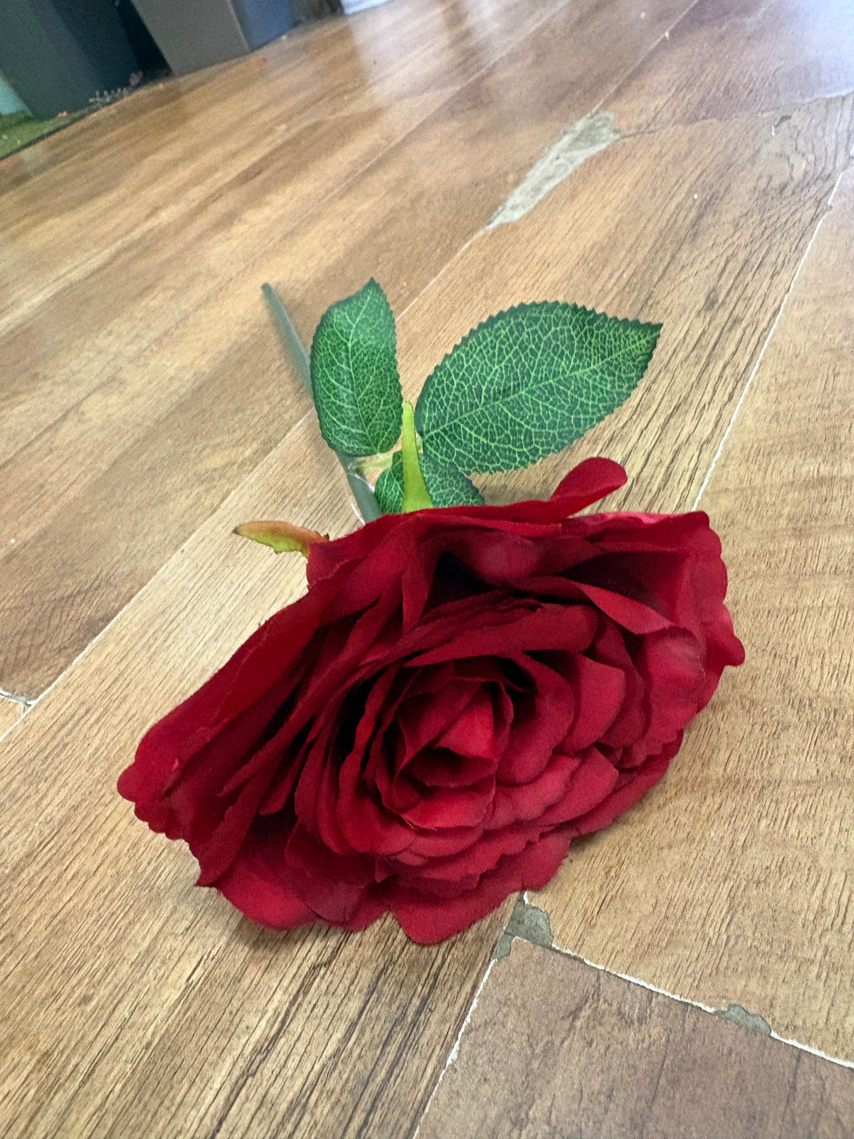Mediums length red Tudor rose