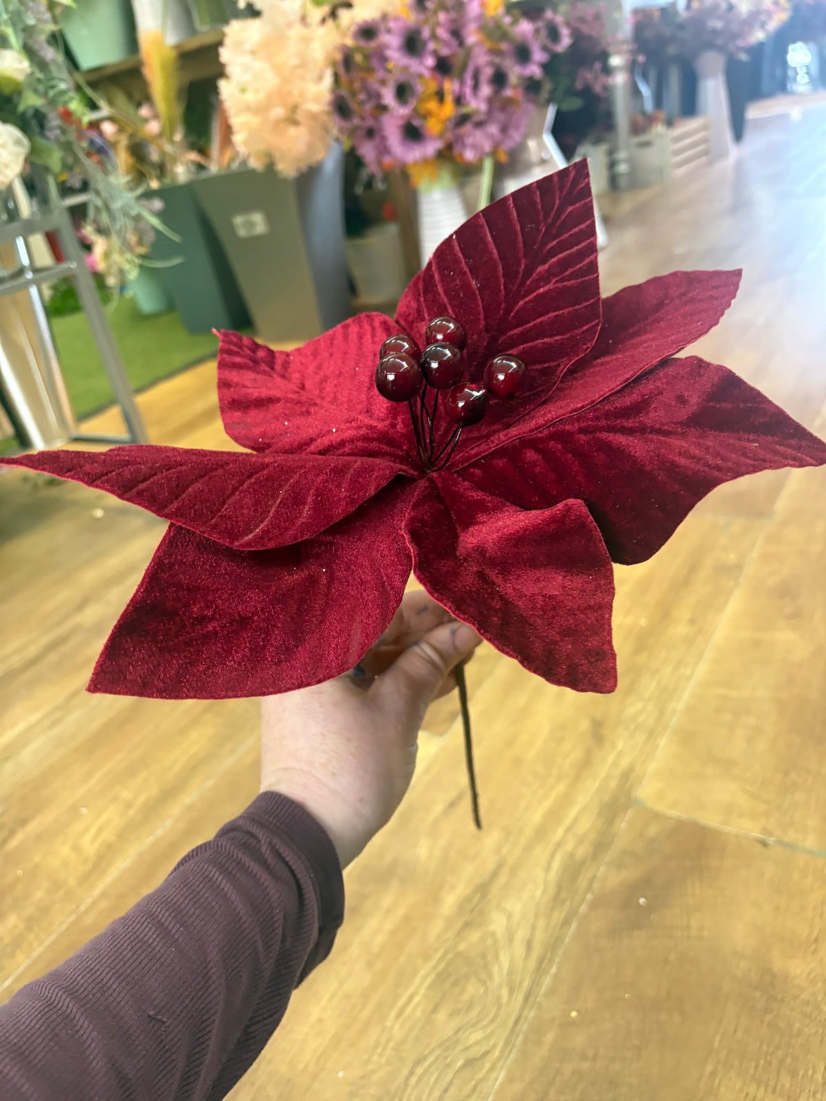 Short stem burgundy velvet poinsettia