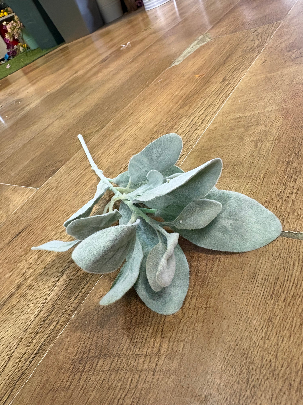 Green lambs ear pick